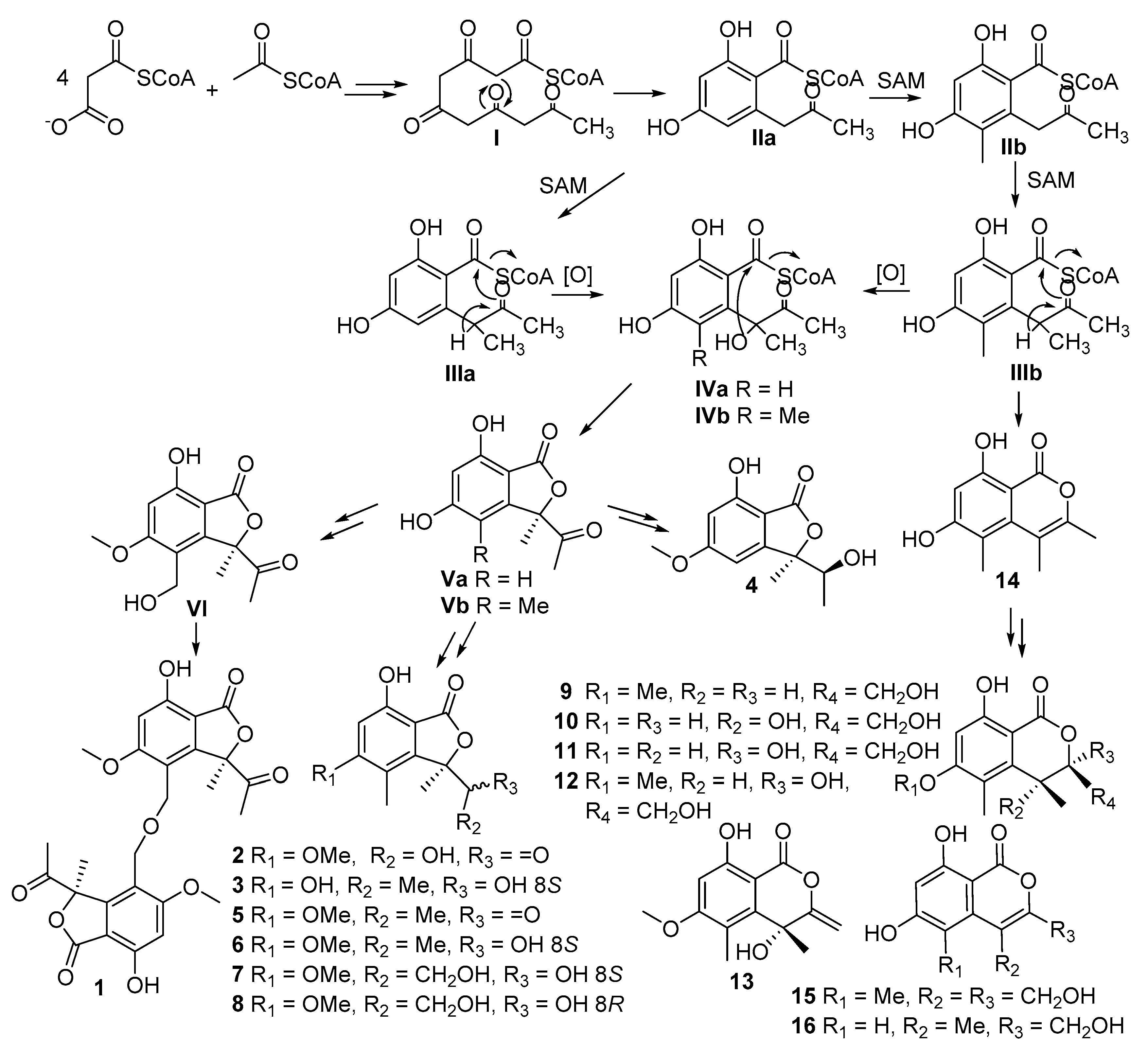 Marinedrugs 15 00204 sch001
