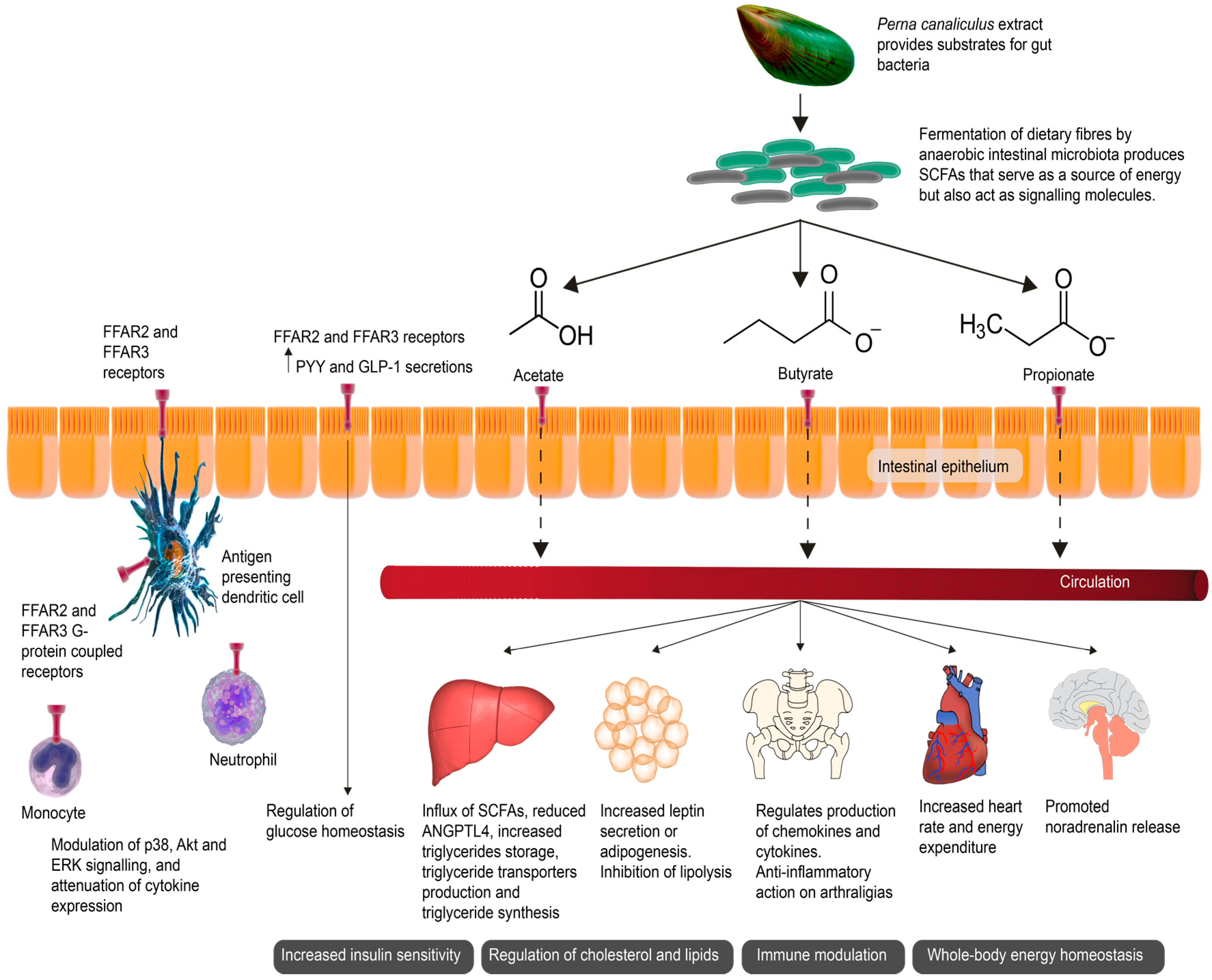 Marinedrugs 15 00207 g001