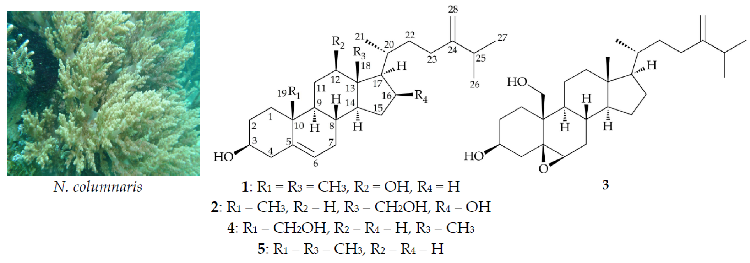 Marinedrugs 15 00212 g001