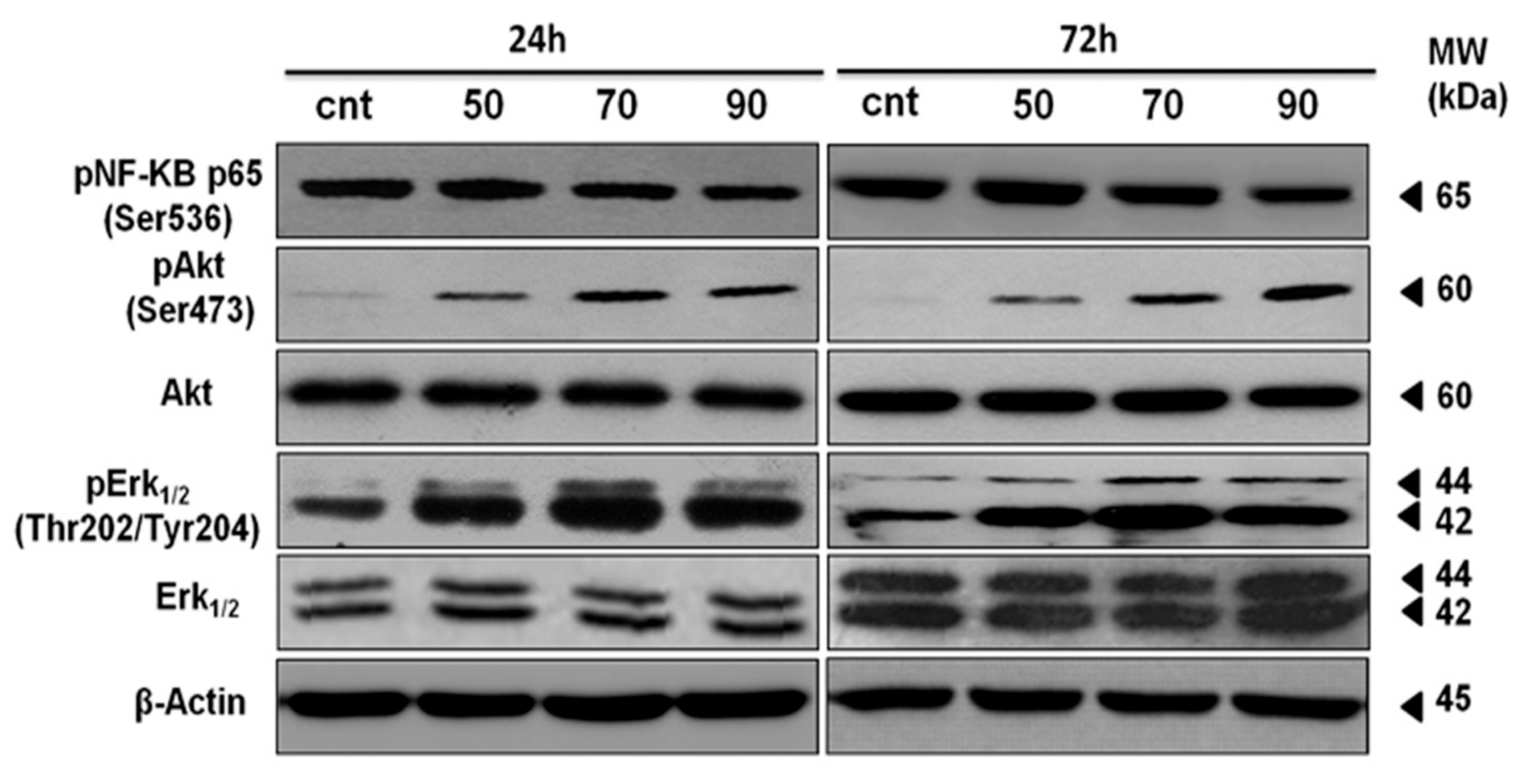 Marinedrugs 15 00221 g005