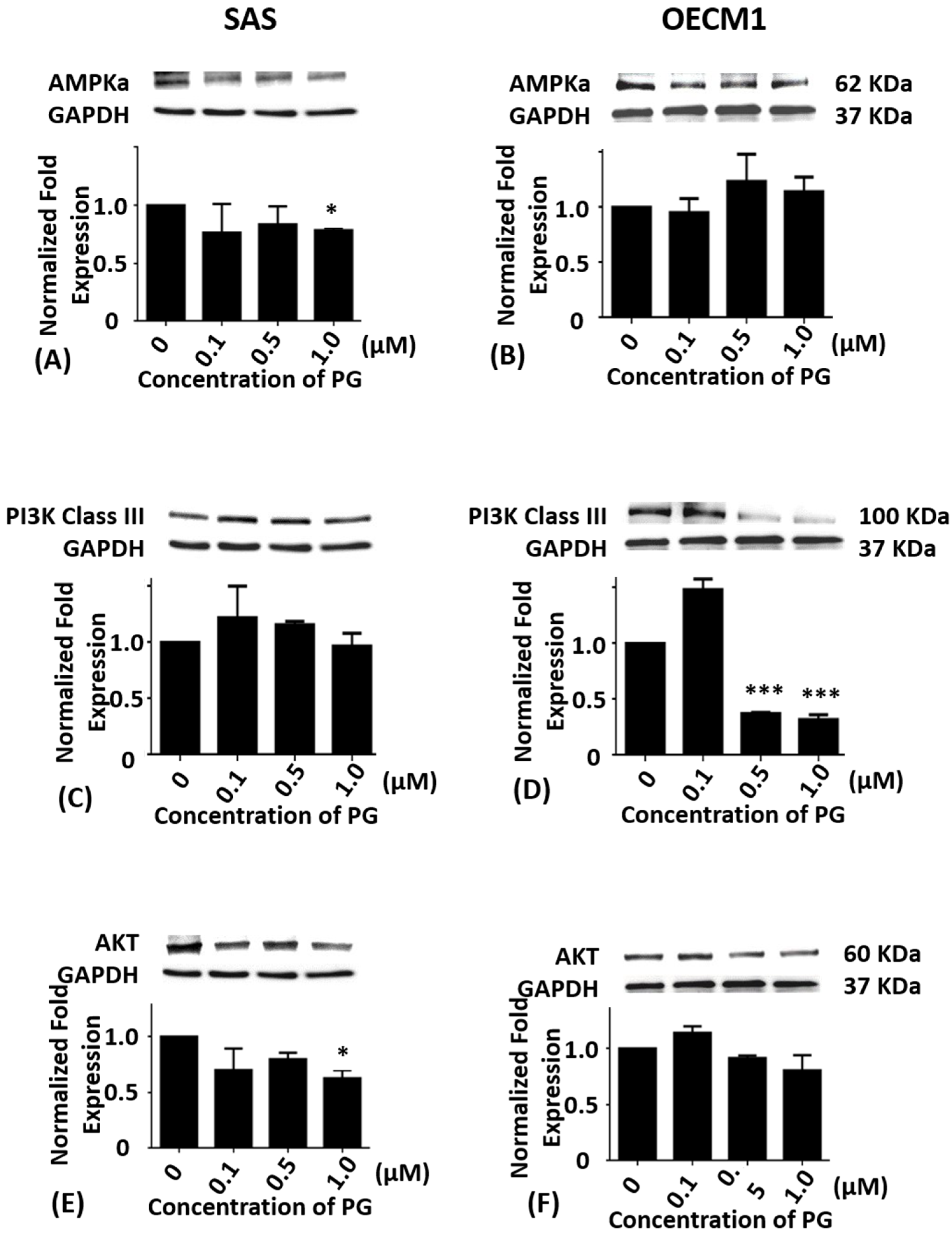 Marinedrugs 15 00224 g003