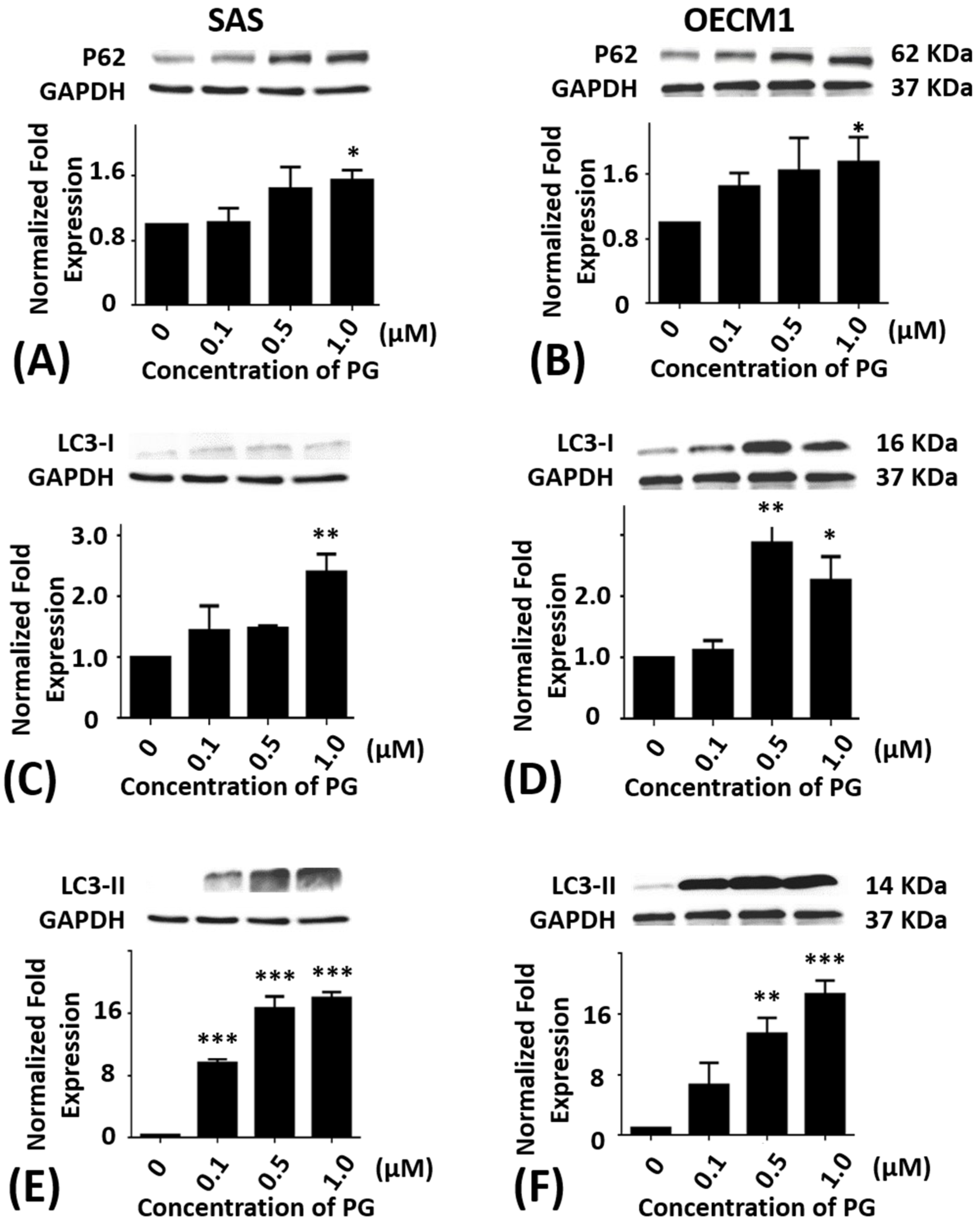 Marinedrugs 15 00224 g005