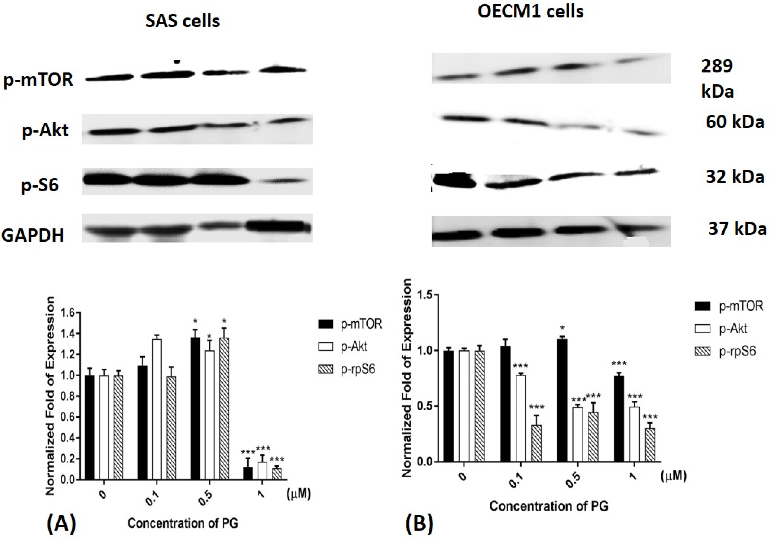 Marinedrugs 15 00224 g006