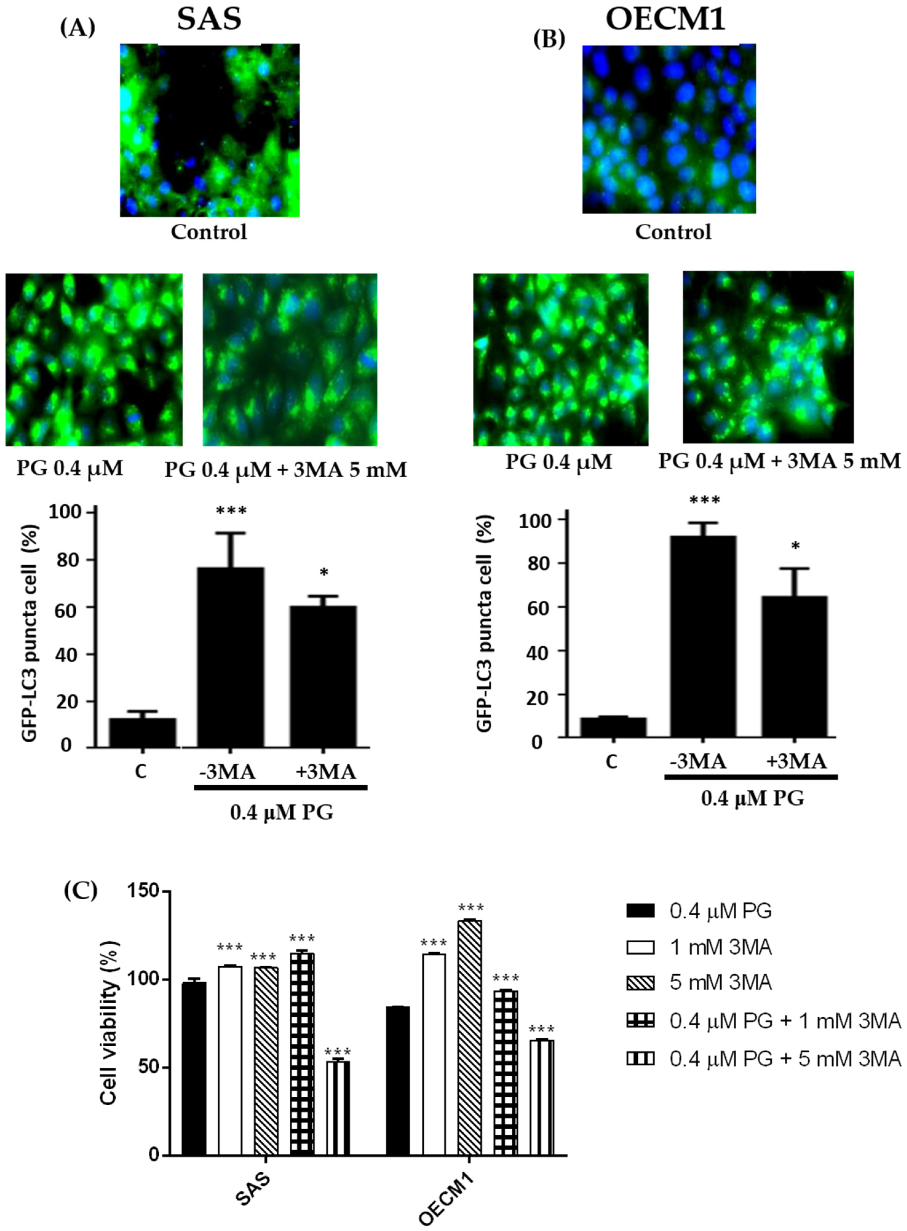 Marinedrugs 15 00224 g007