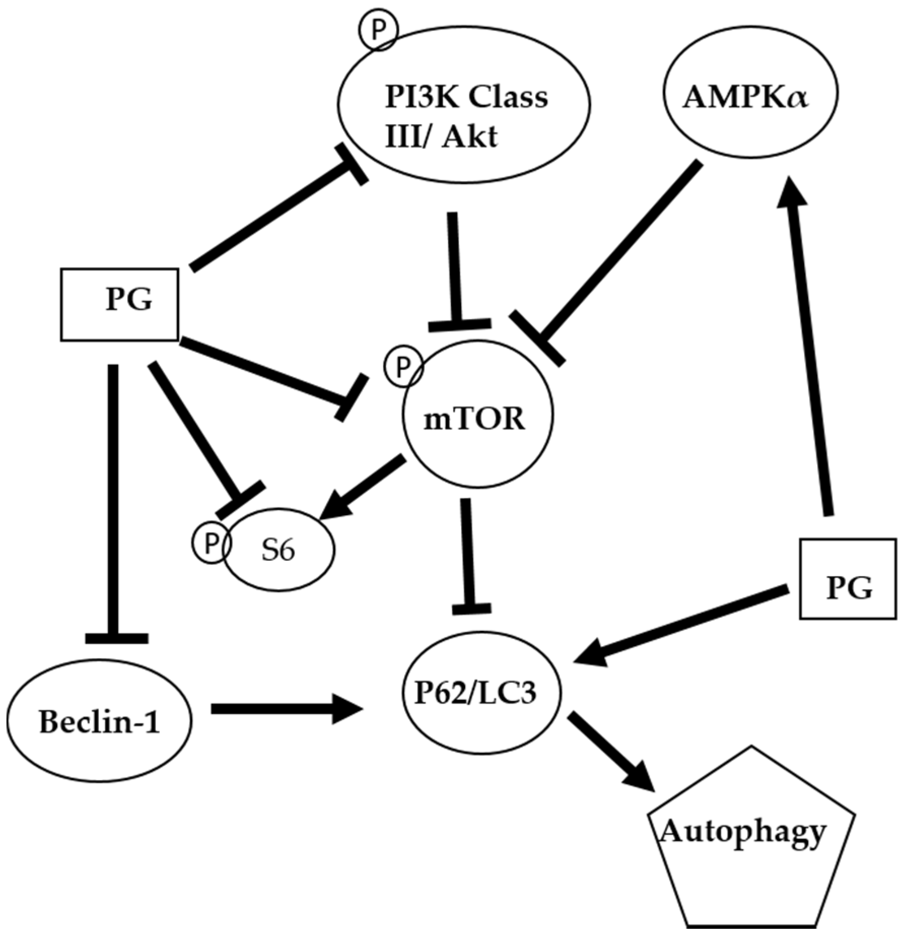 Marinedrugs 15 00224 g008