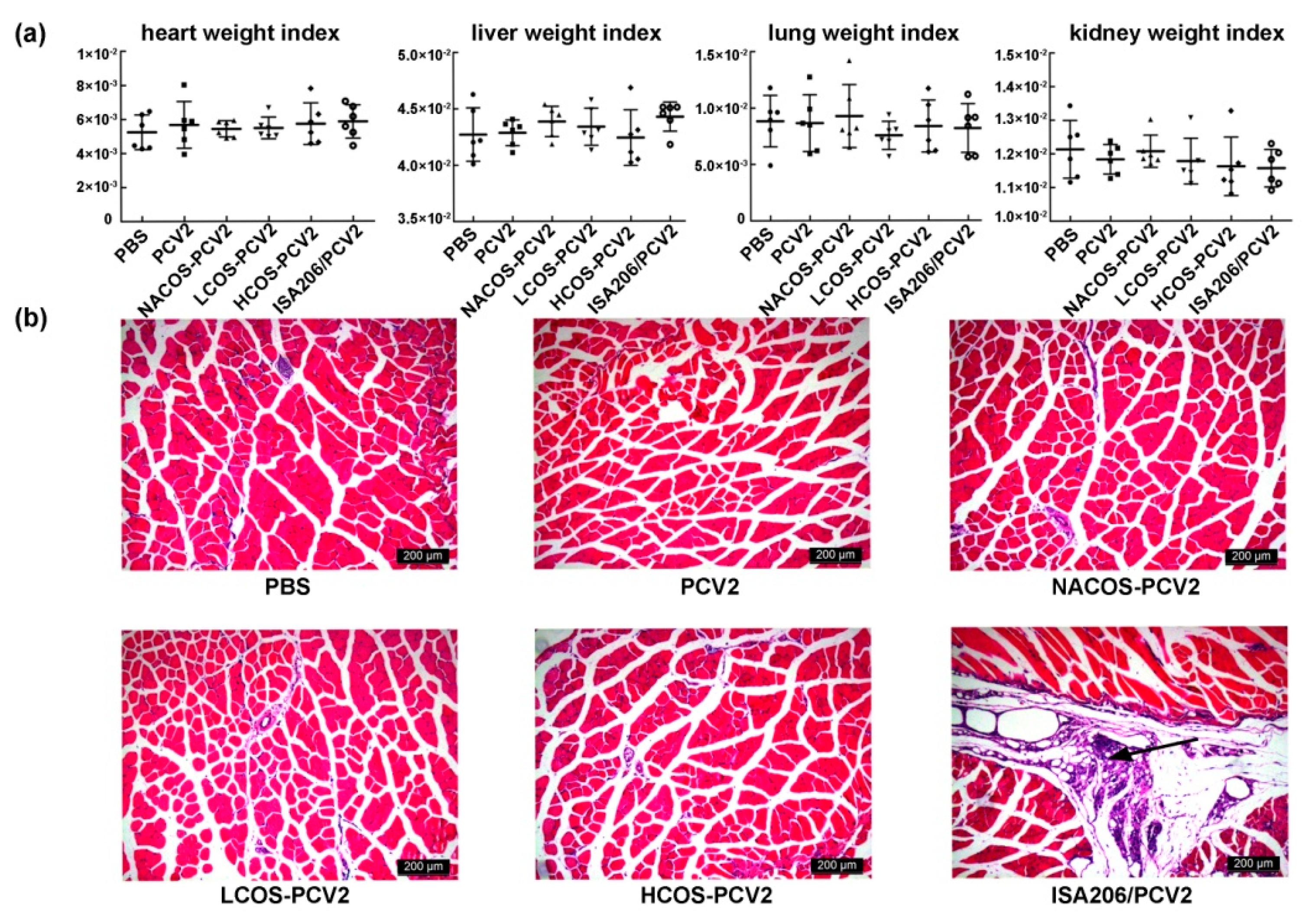 Marinedrugs 15 00236 g006