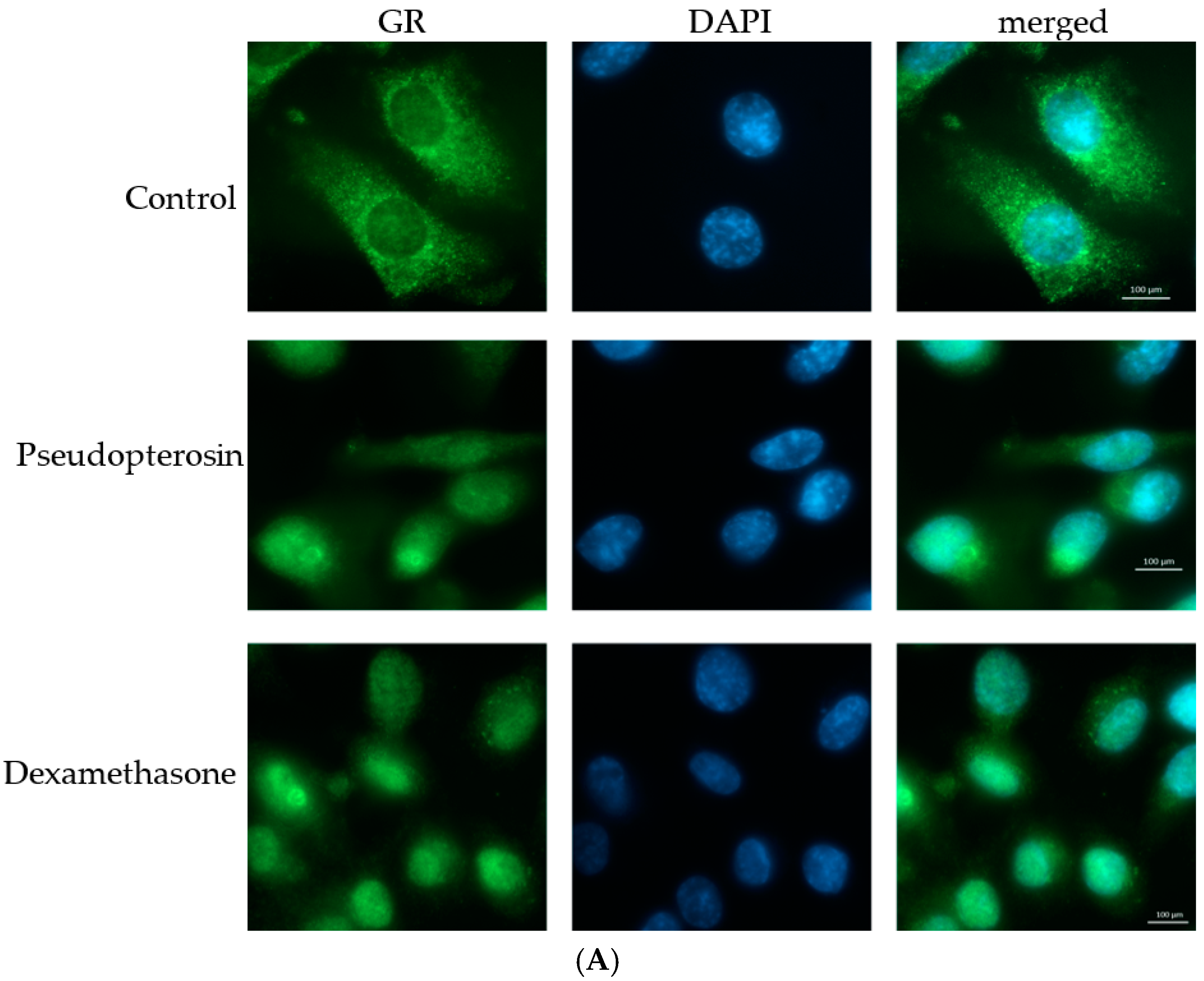 Marinedrugs 15 00262 g005a