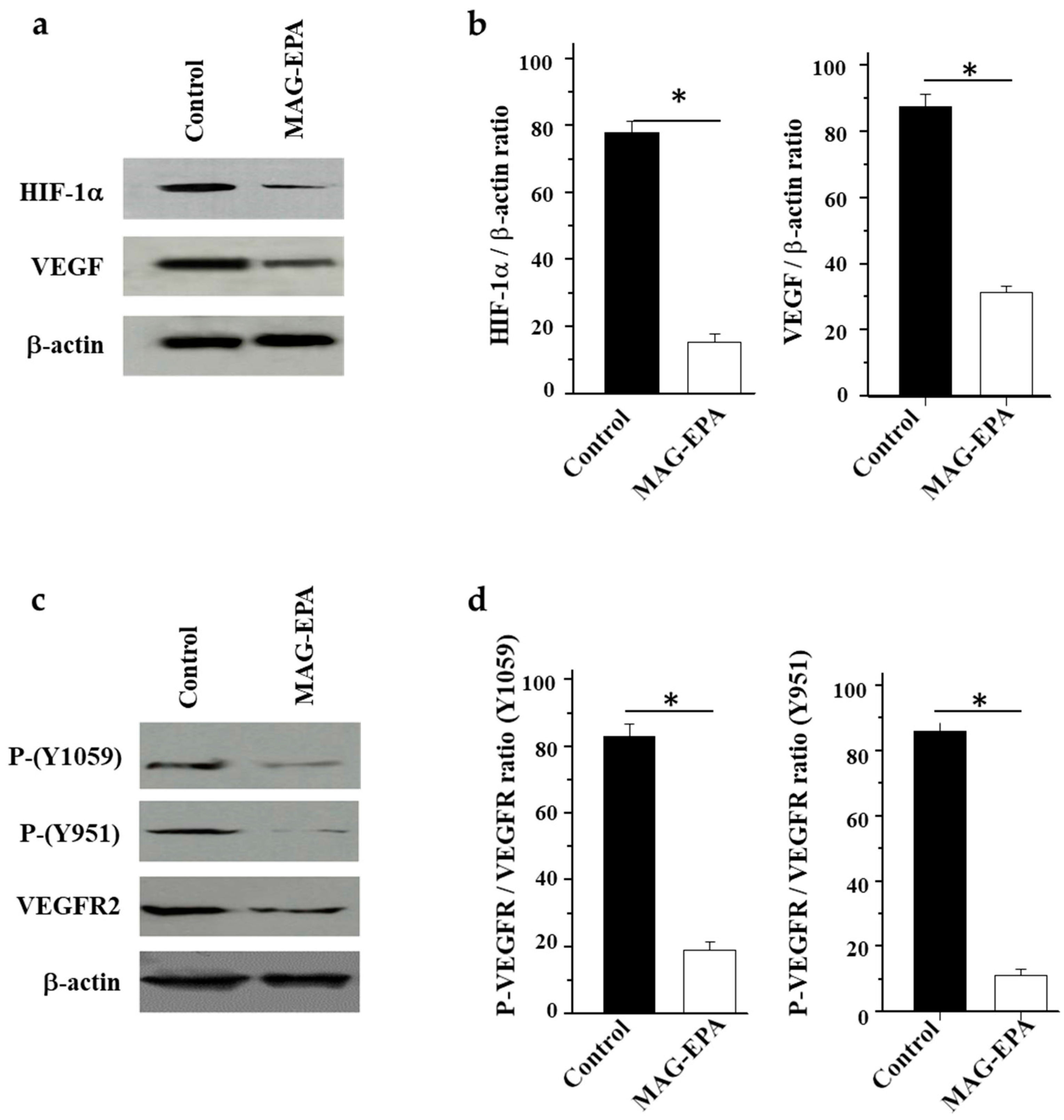 Marinedrugs 15 00283 g004