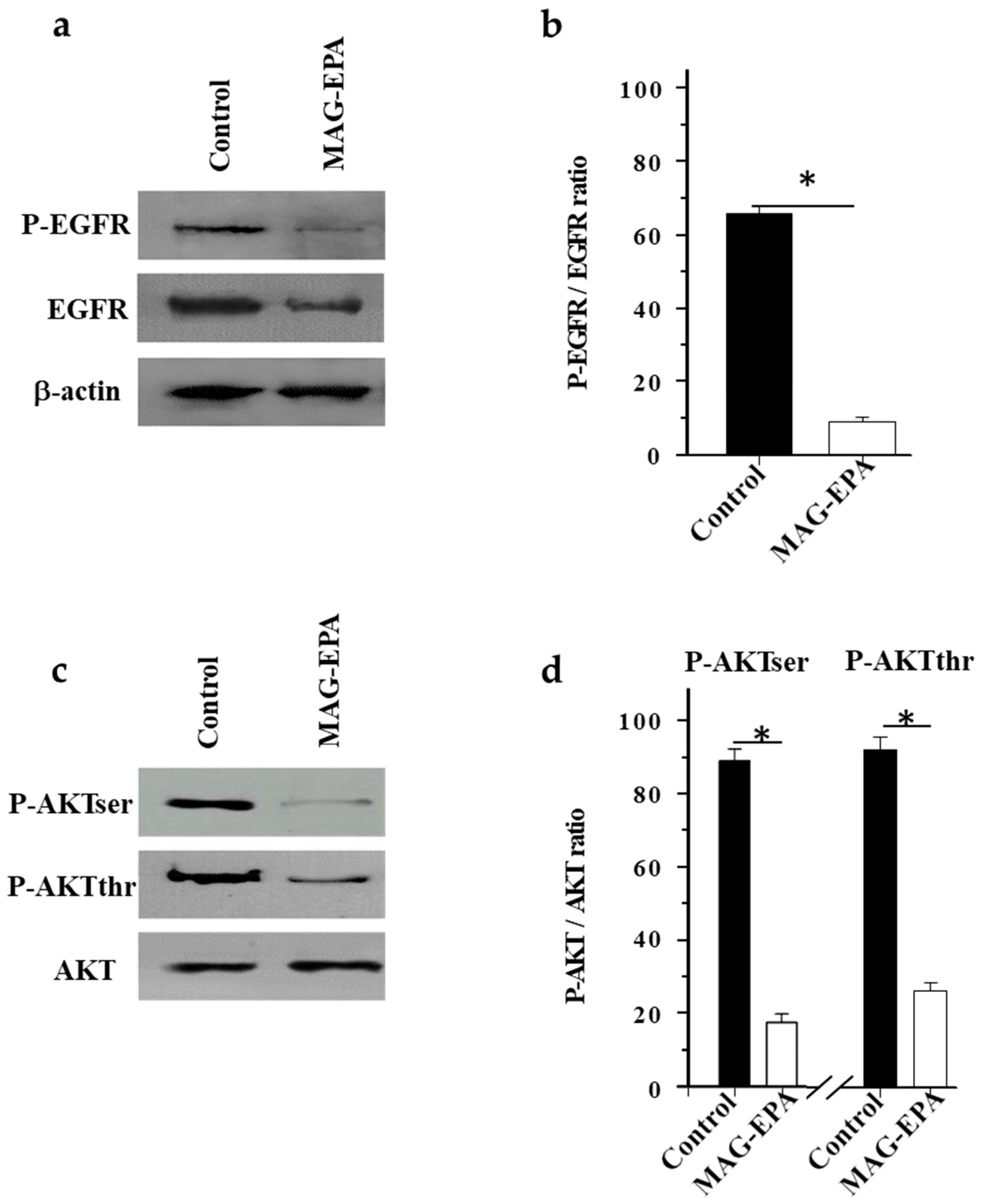 Marinedrugs 15 00283 g005