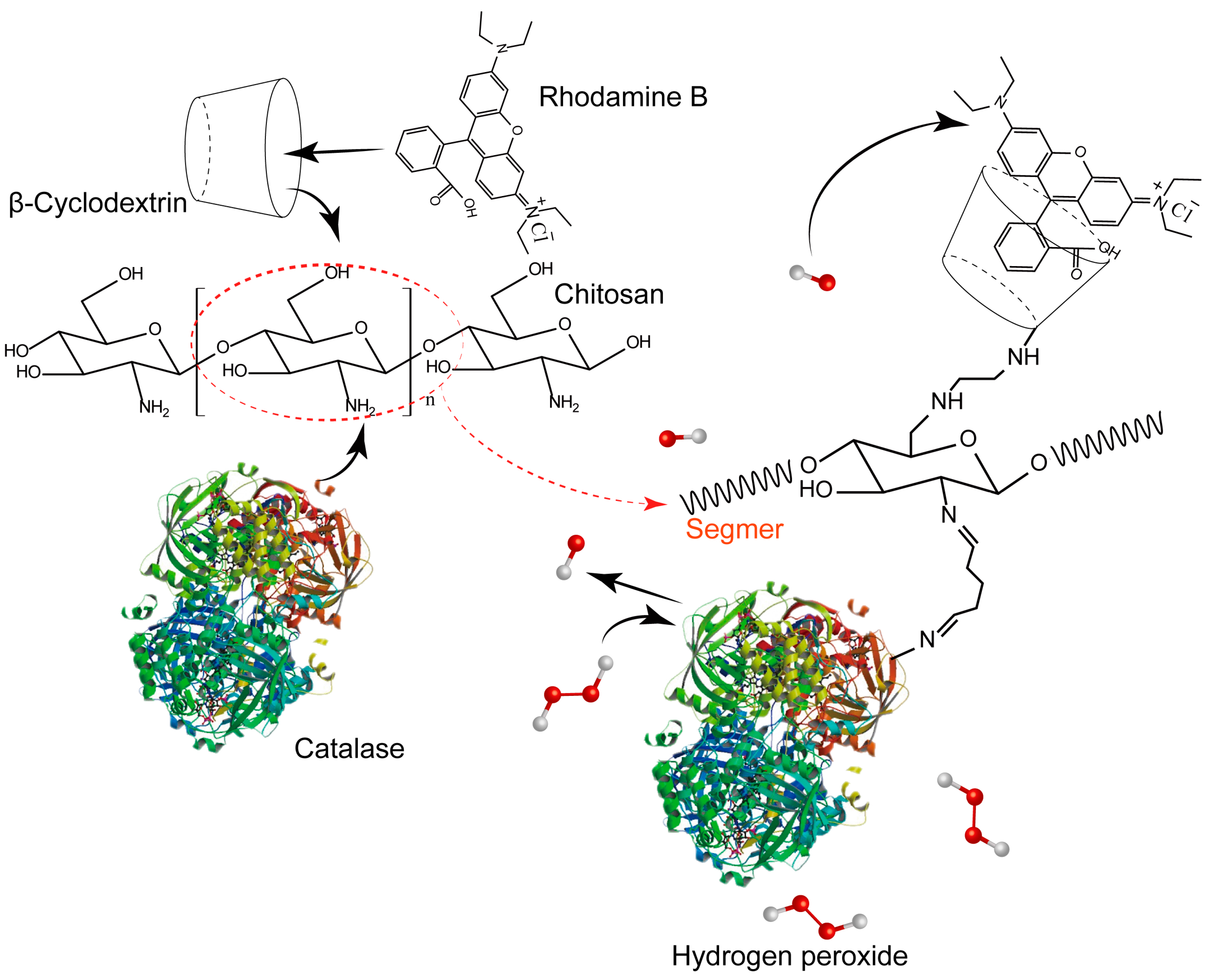 Marinedrugs 15 00284 g001
