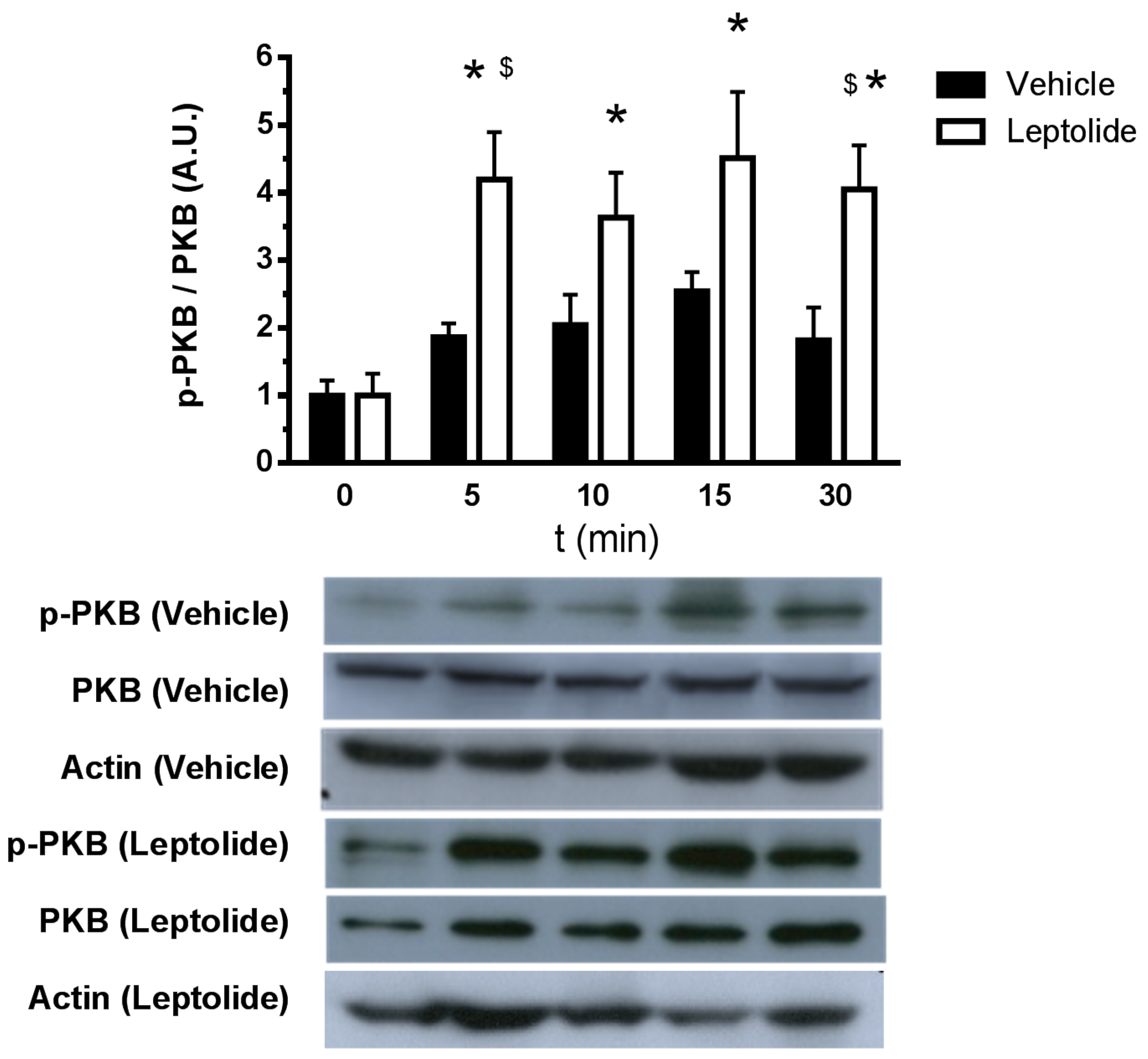 Marinedrugs 15 00289 g001
