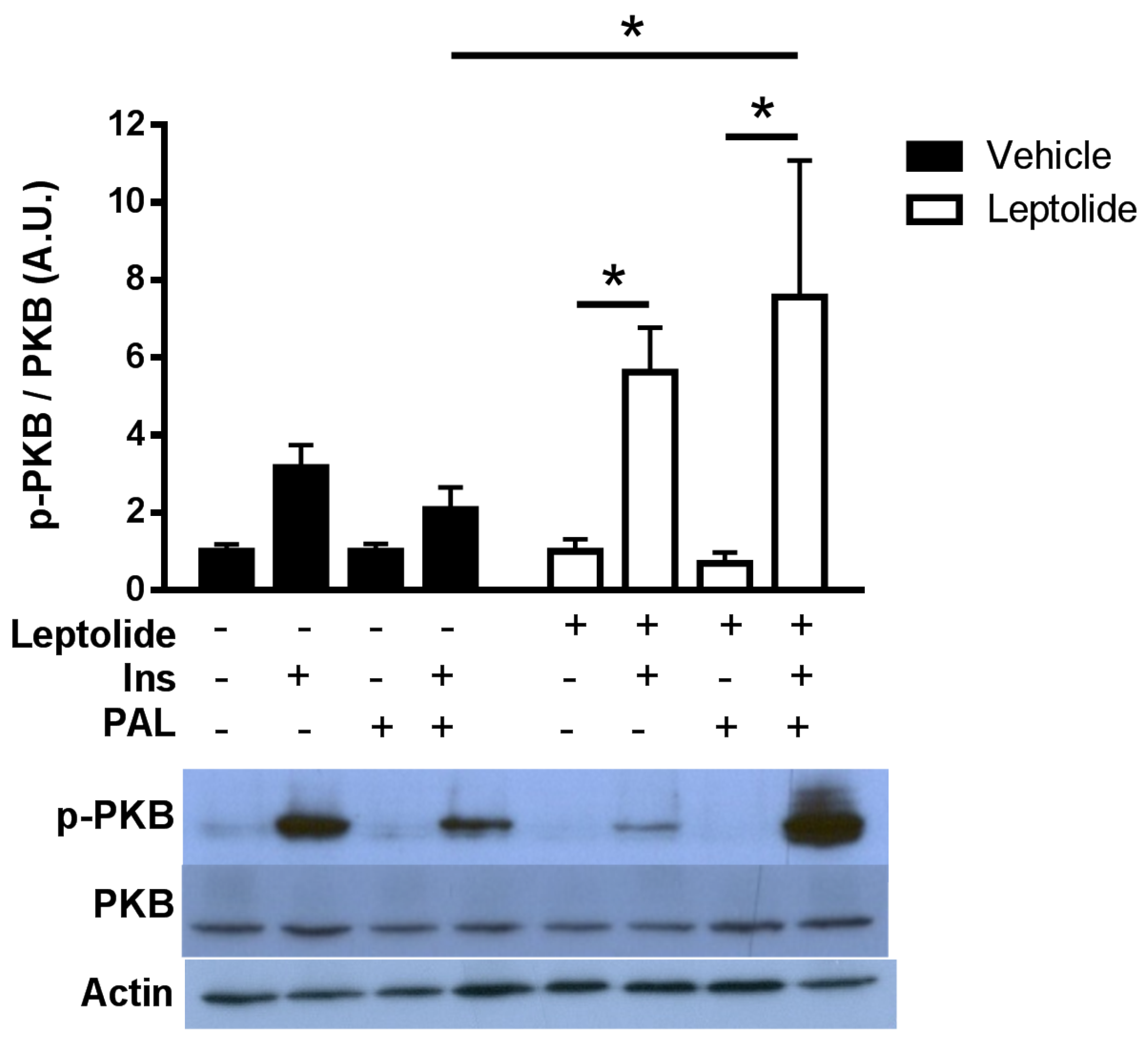 Marinedrugs 15 00289 g002