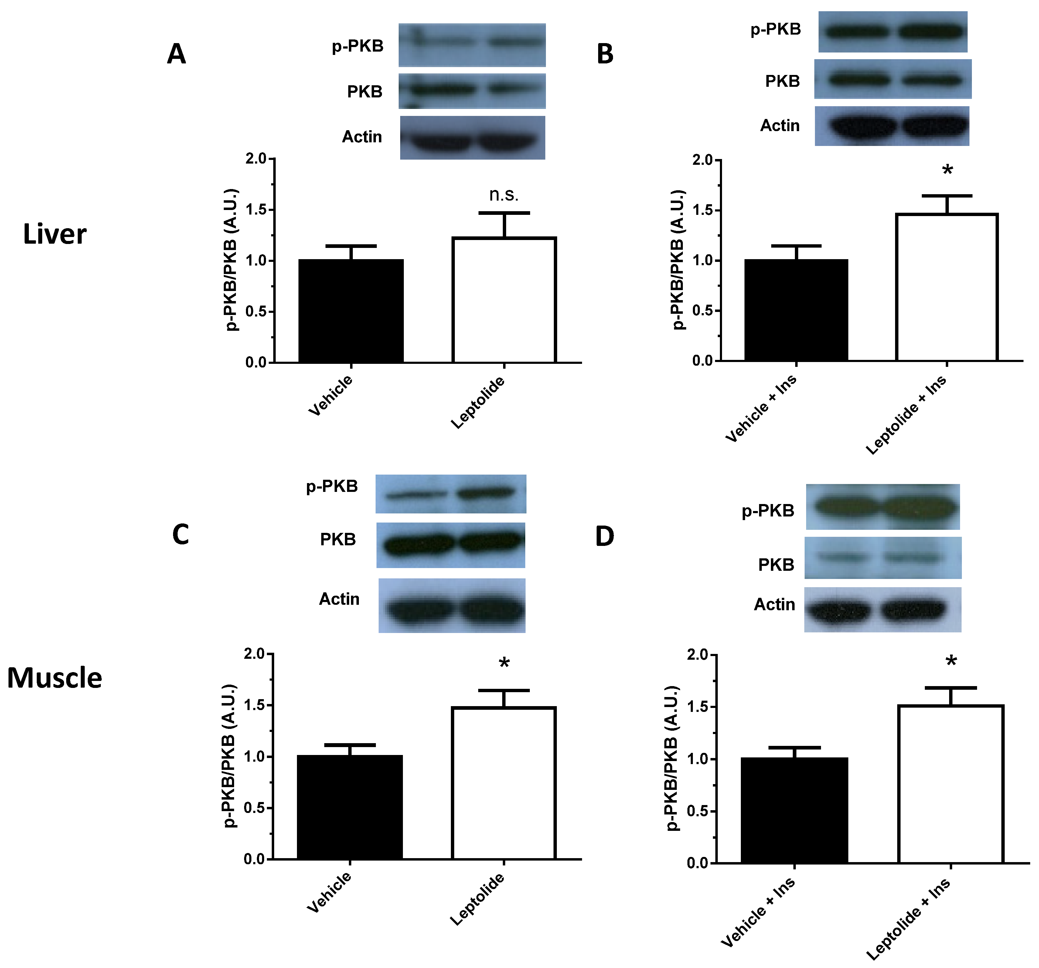 Marinedrugs 15 00289 g006