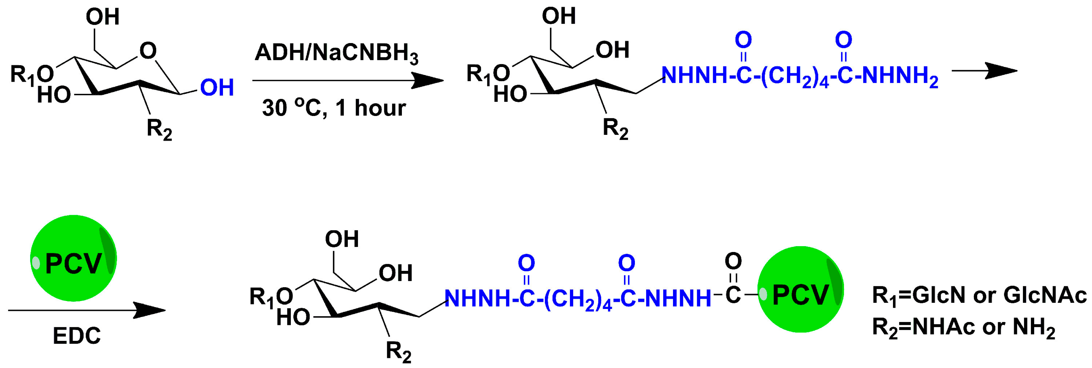 Marinedrugs 15 00292 g001