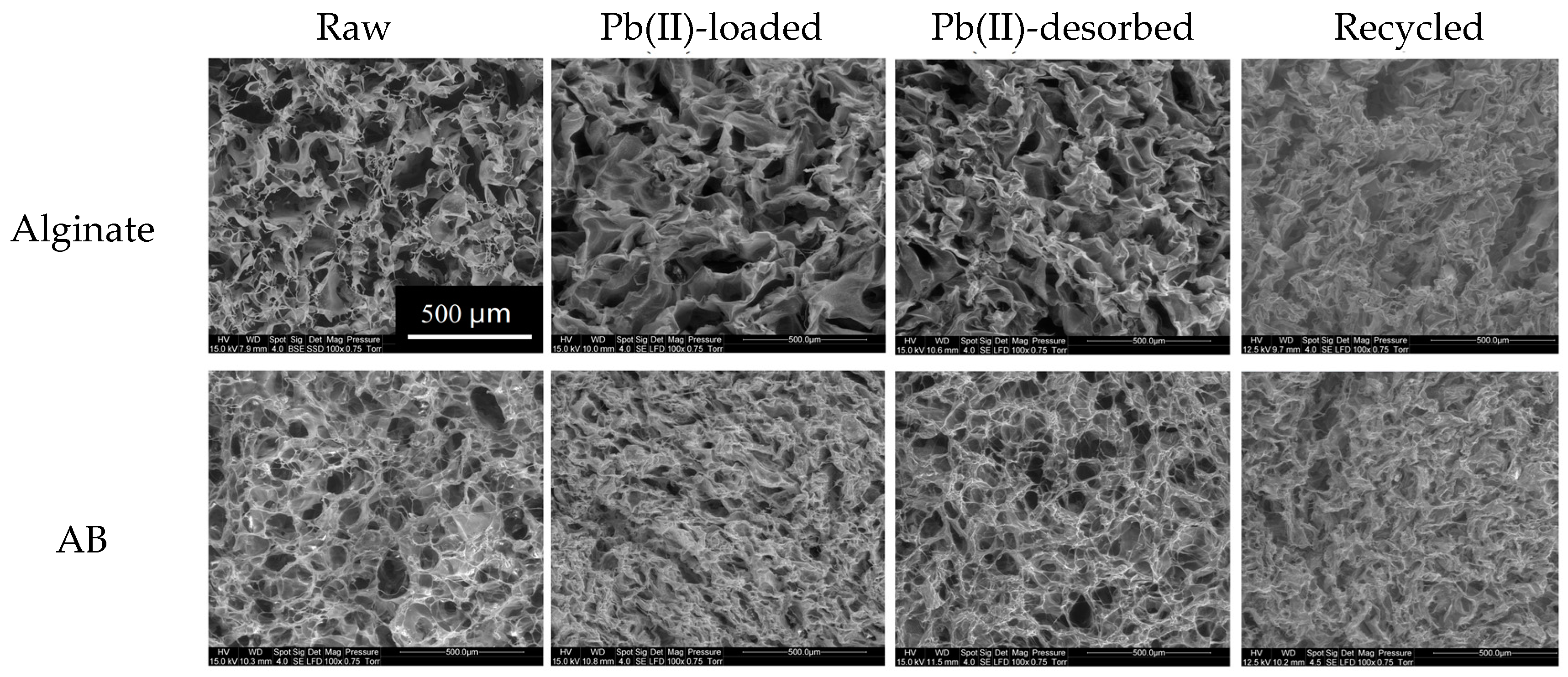 Marinedrugs 15 00315 g001