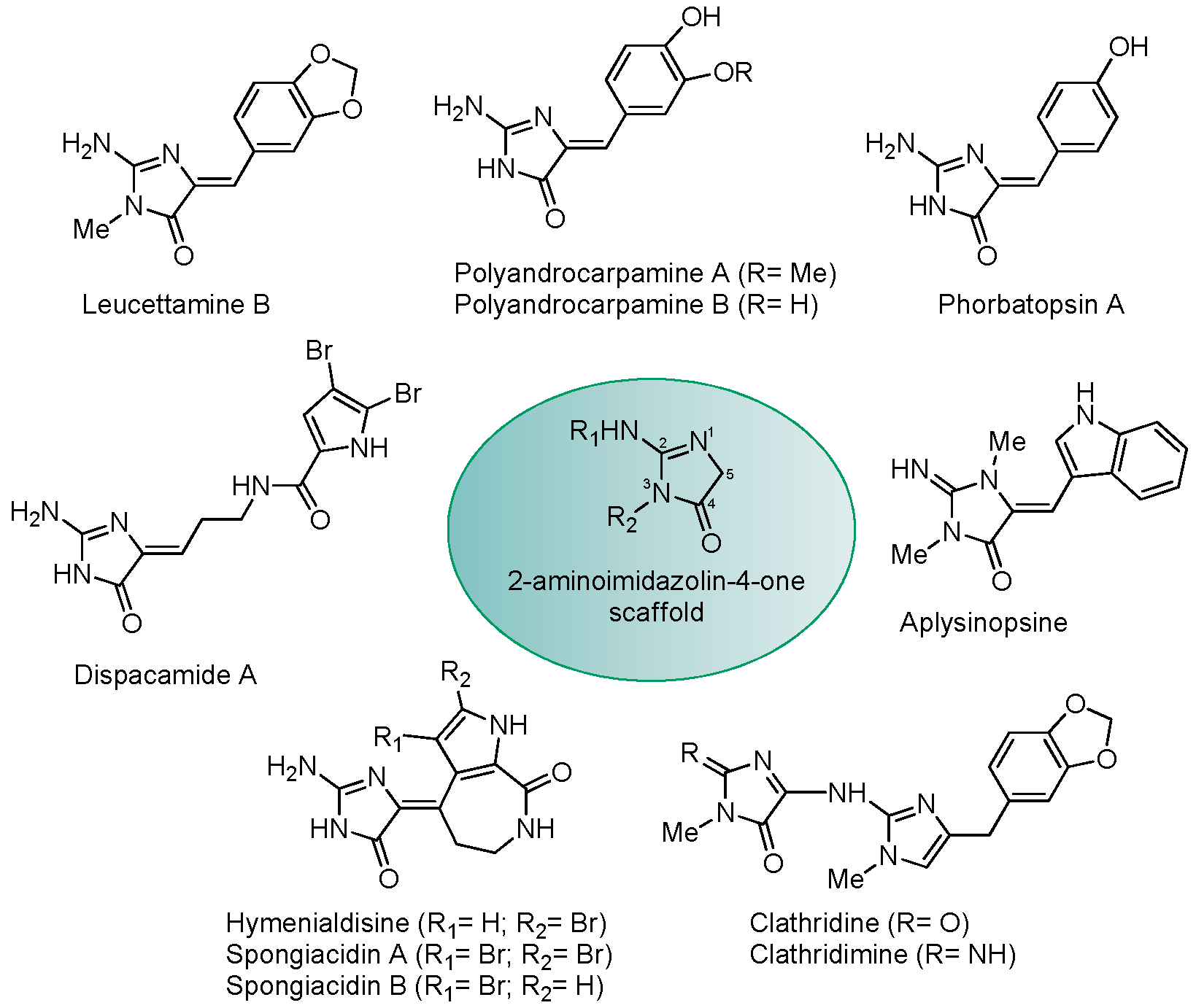 Marinedrugs 15 00316 g001