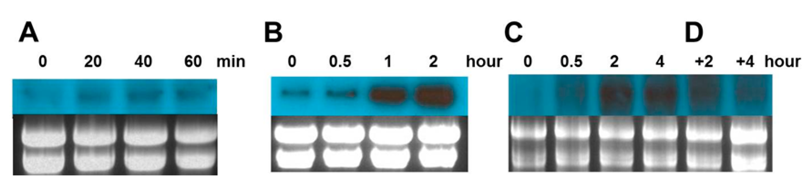 Marinedrugs 15 00318 g002