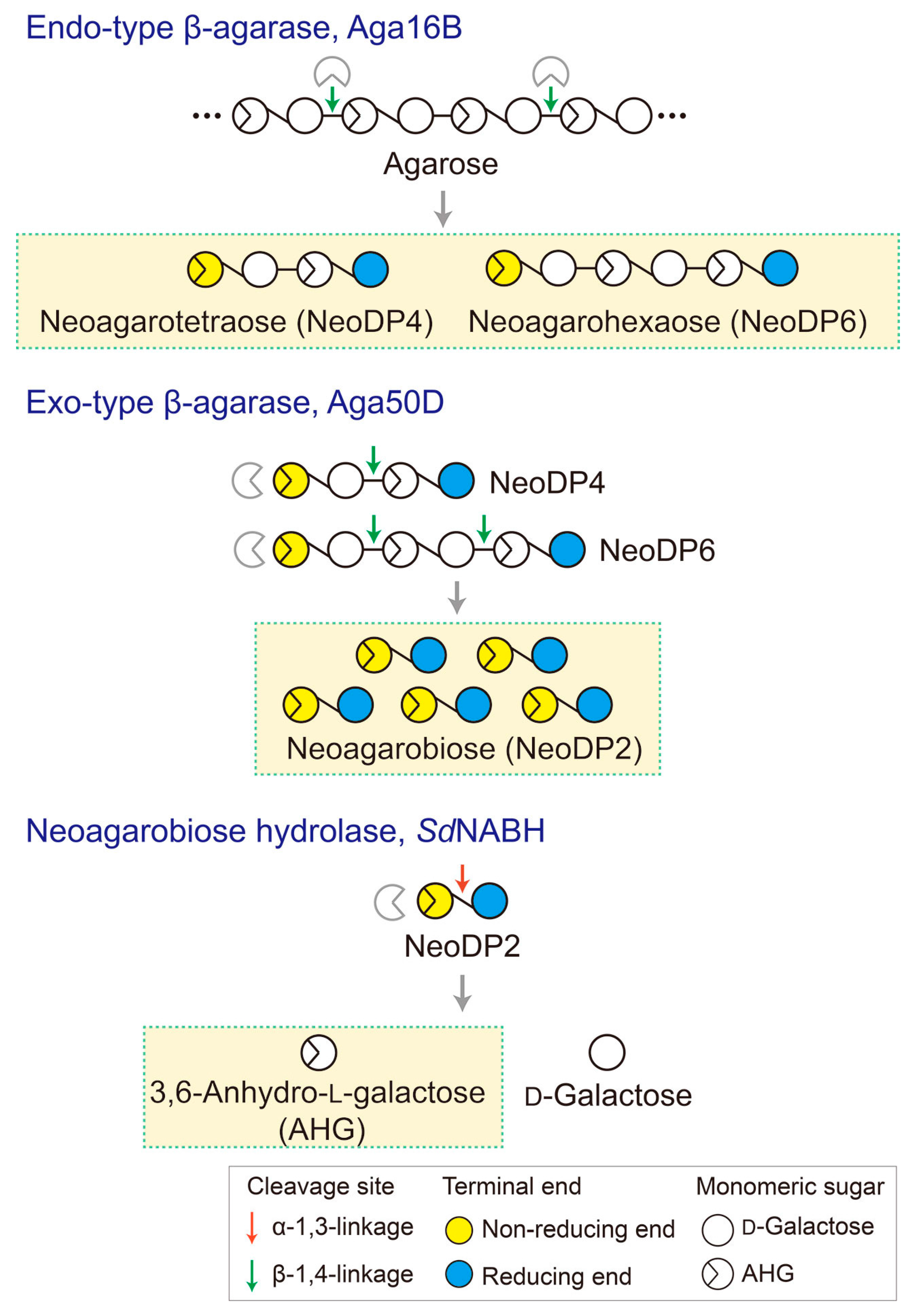Marinedrugs 15 00321 g006