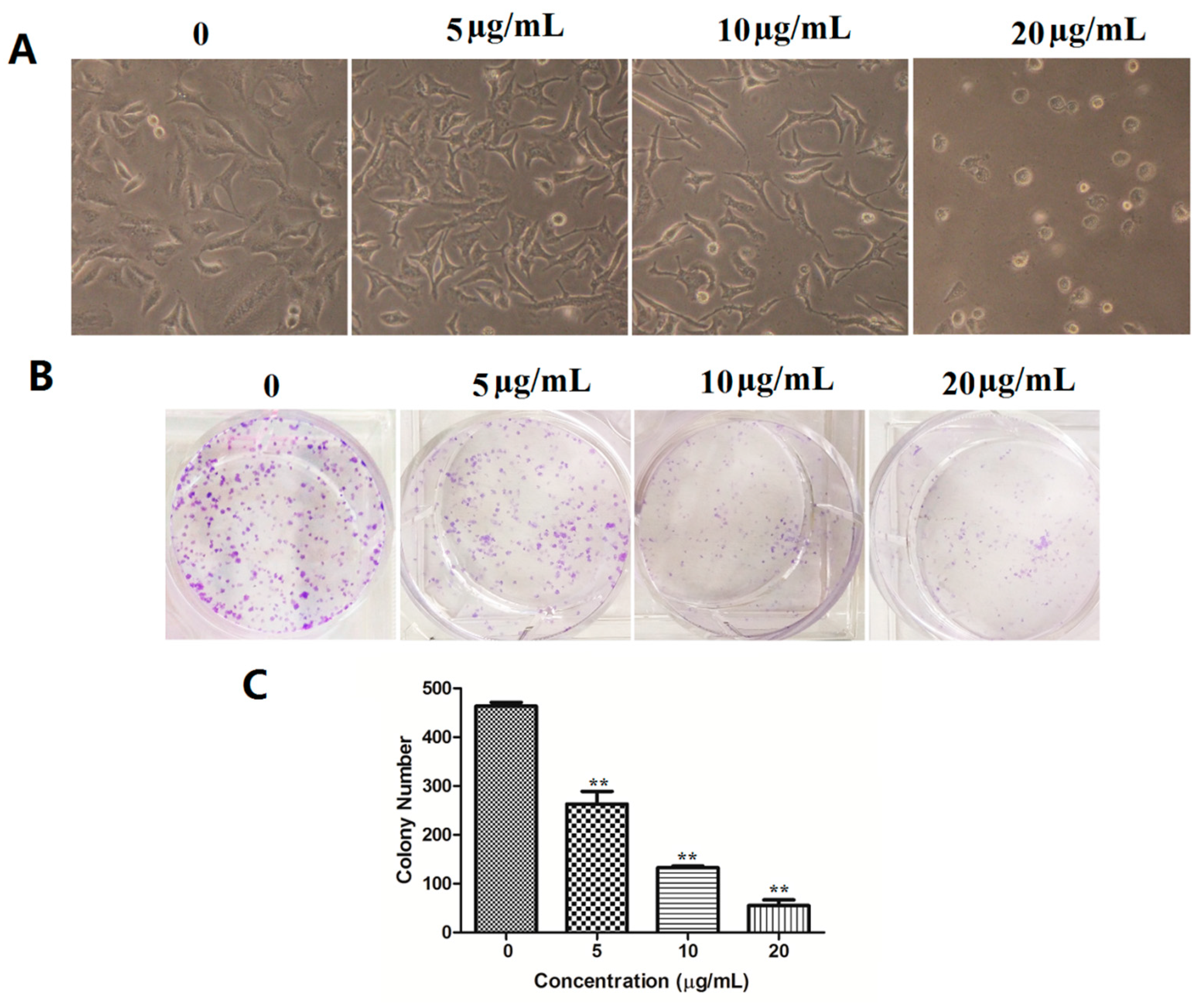 Marinedrugs 15 00343 g002