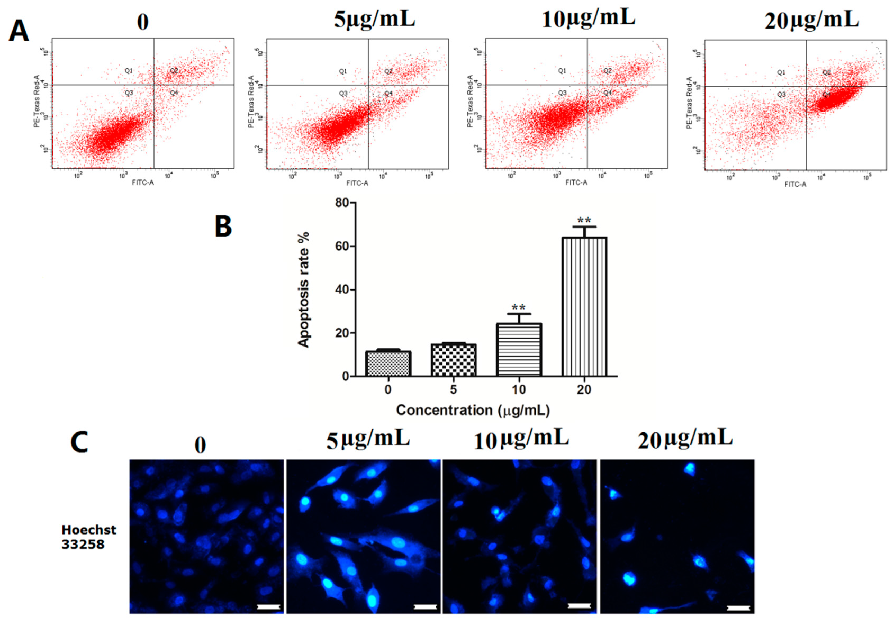 Marinedrugs 15 00343 g003