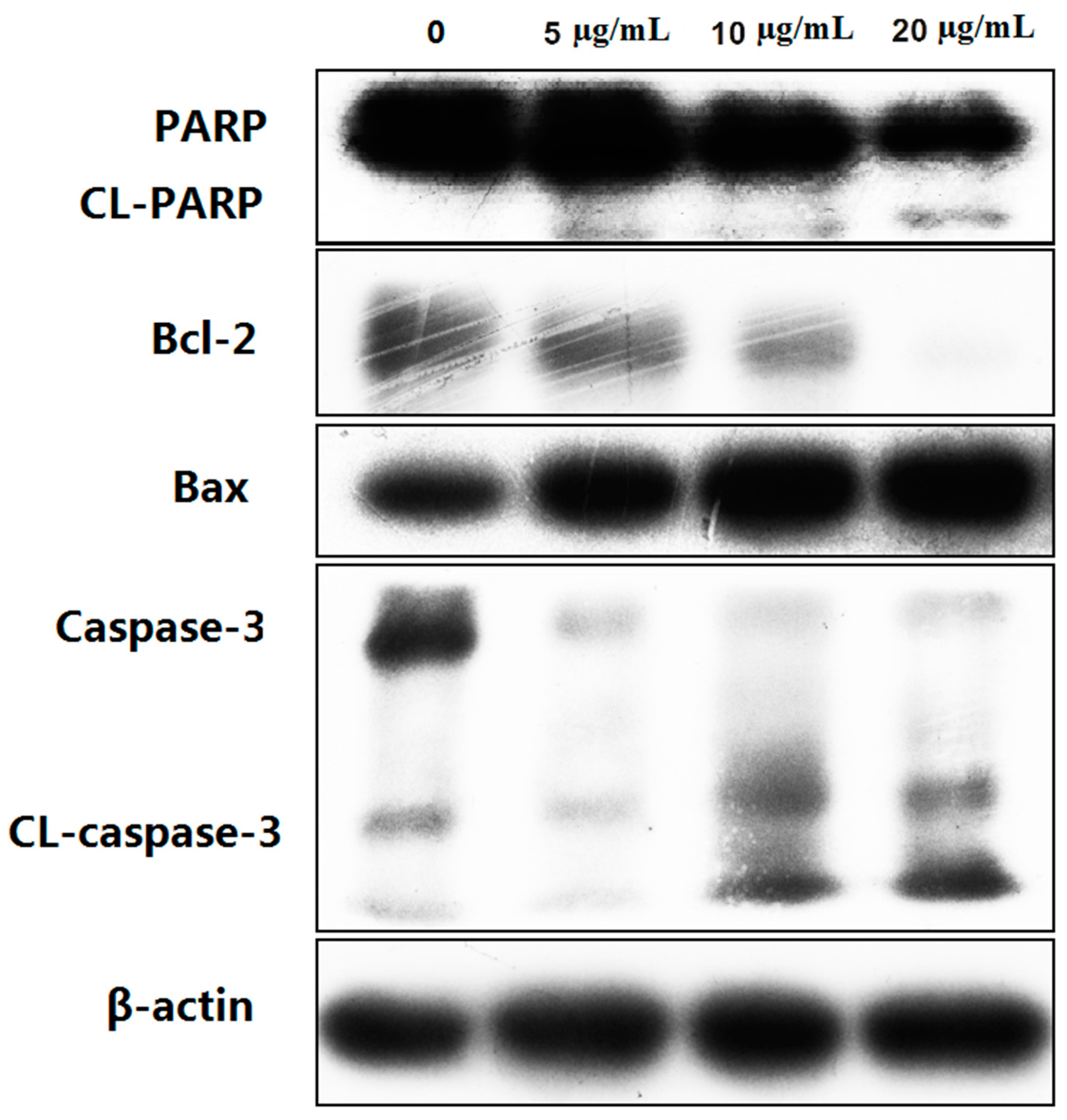 Marinedrugs 15 00343 g006