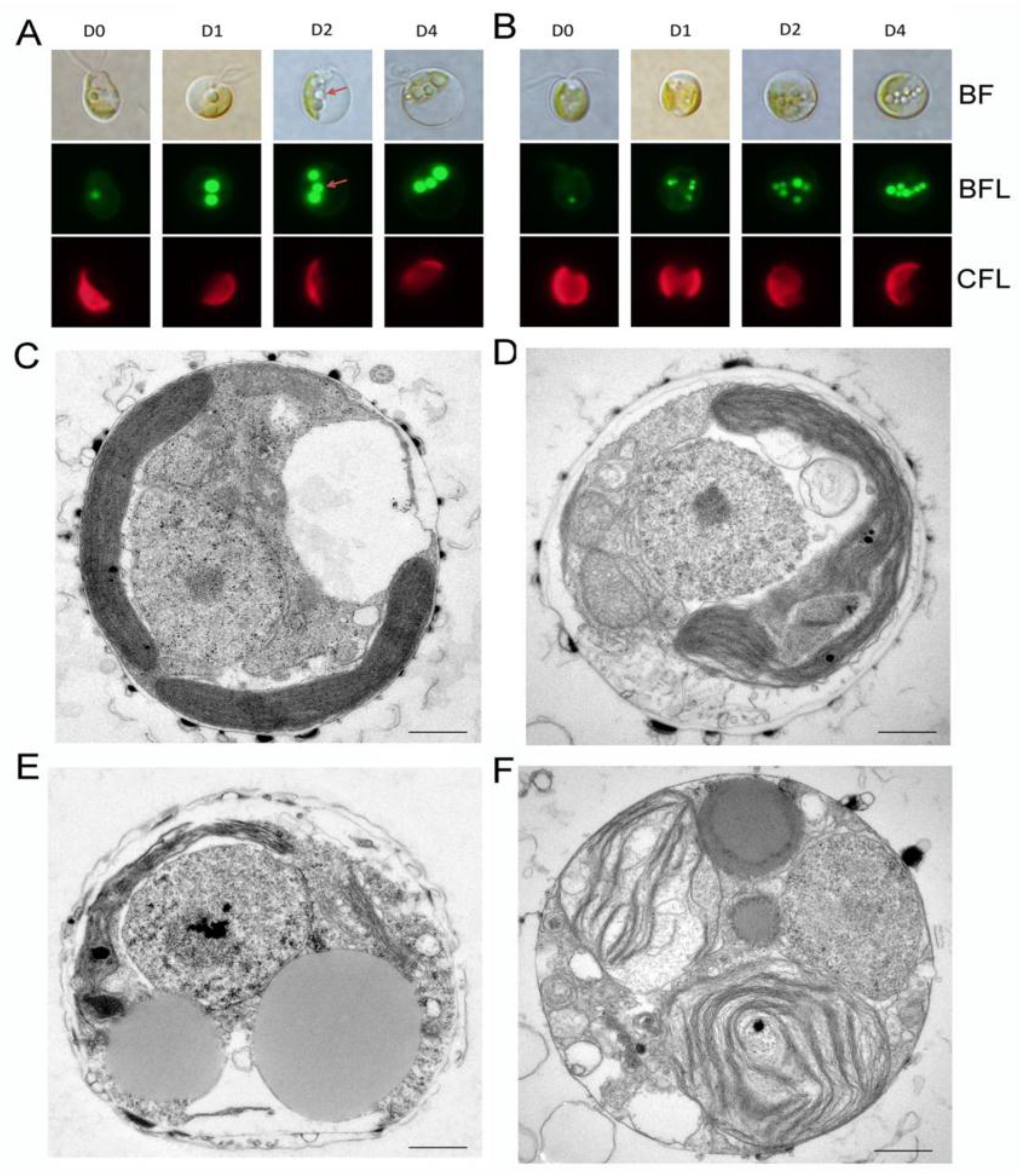 Marinedrugs 15 00357 g004