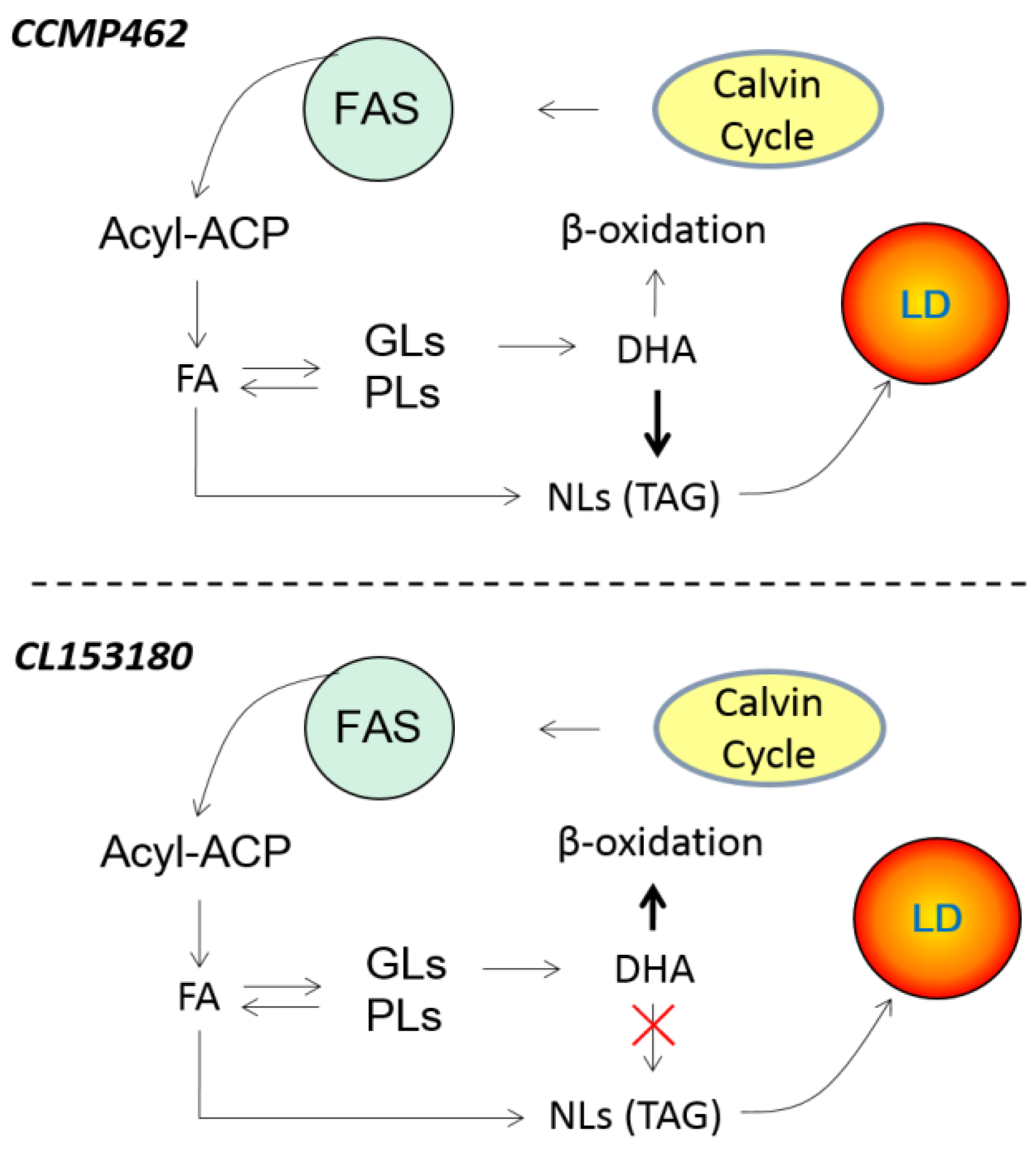 Marinedrugs 15 00357 g006