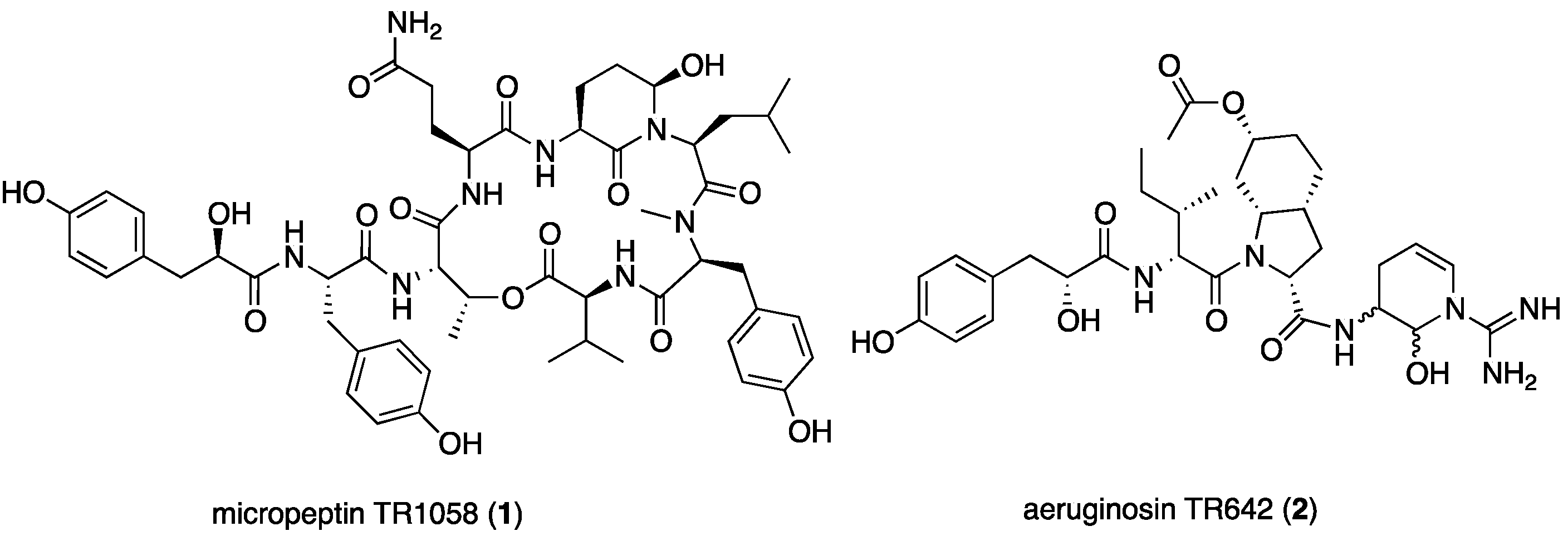 Marinedrugs 15 00371 g002