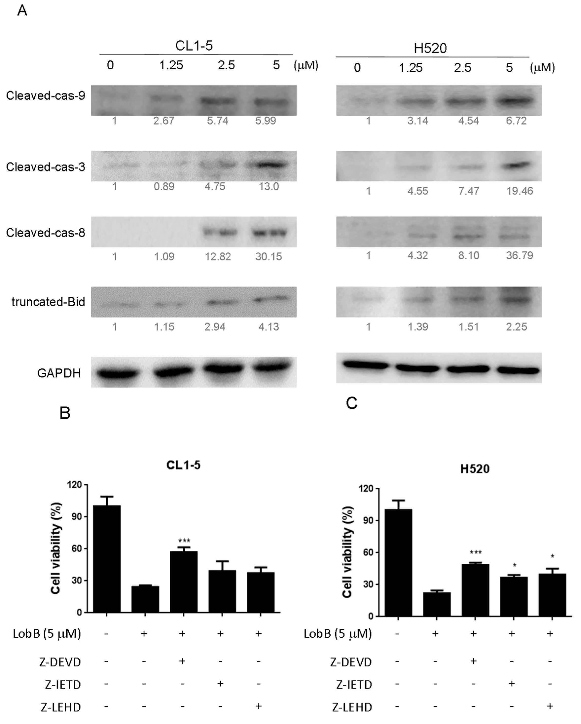 Marinedrugs 15 00378 g005