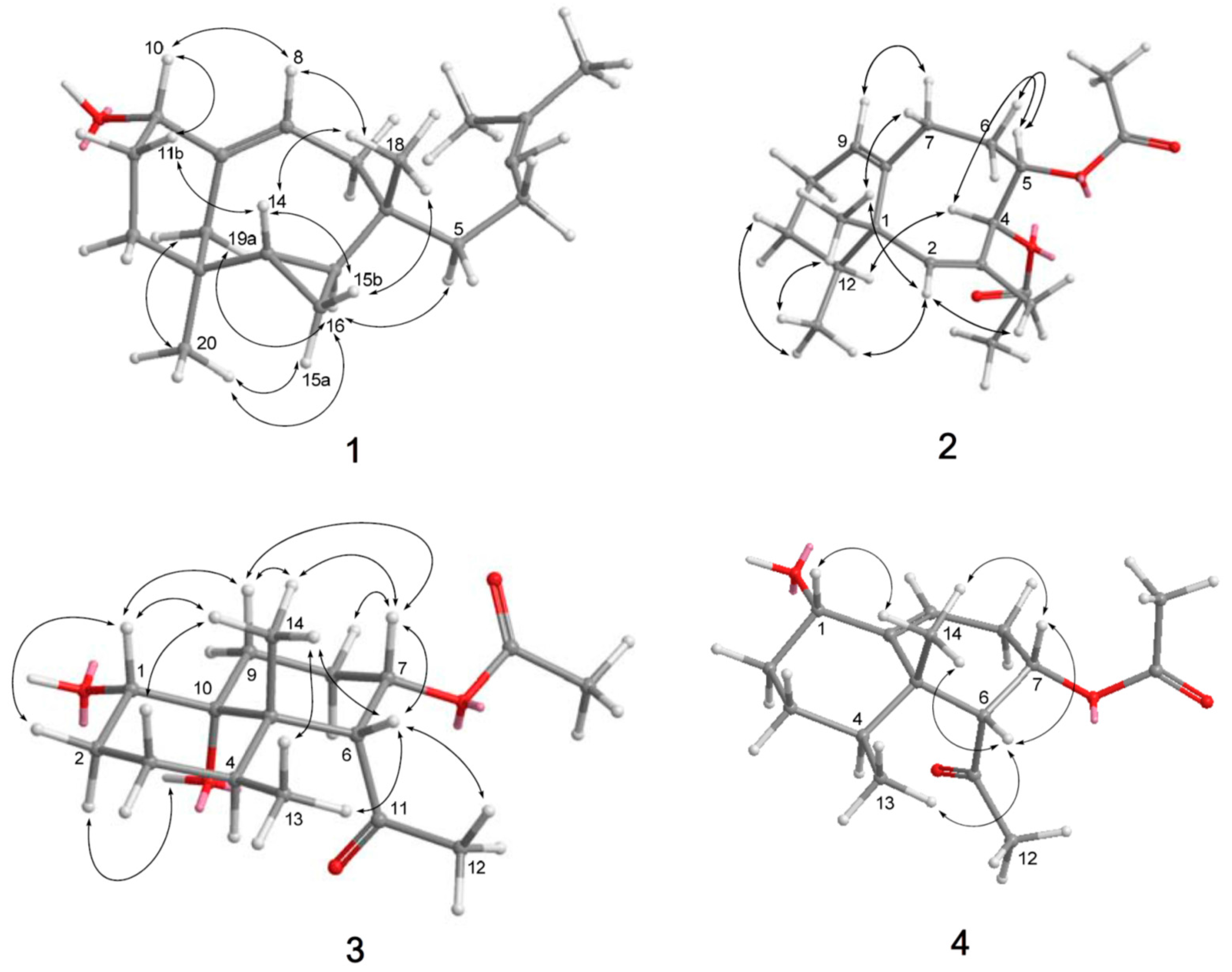 Marinedrugs 15 00392 g003