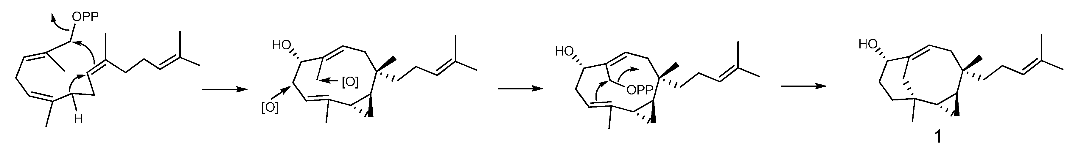 Marinedrugs 15 00392 sch001