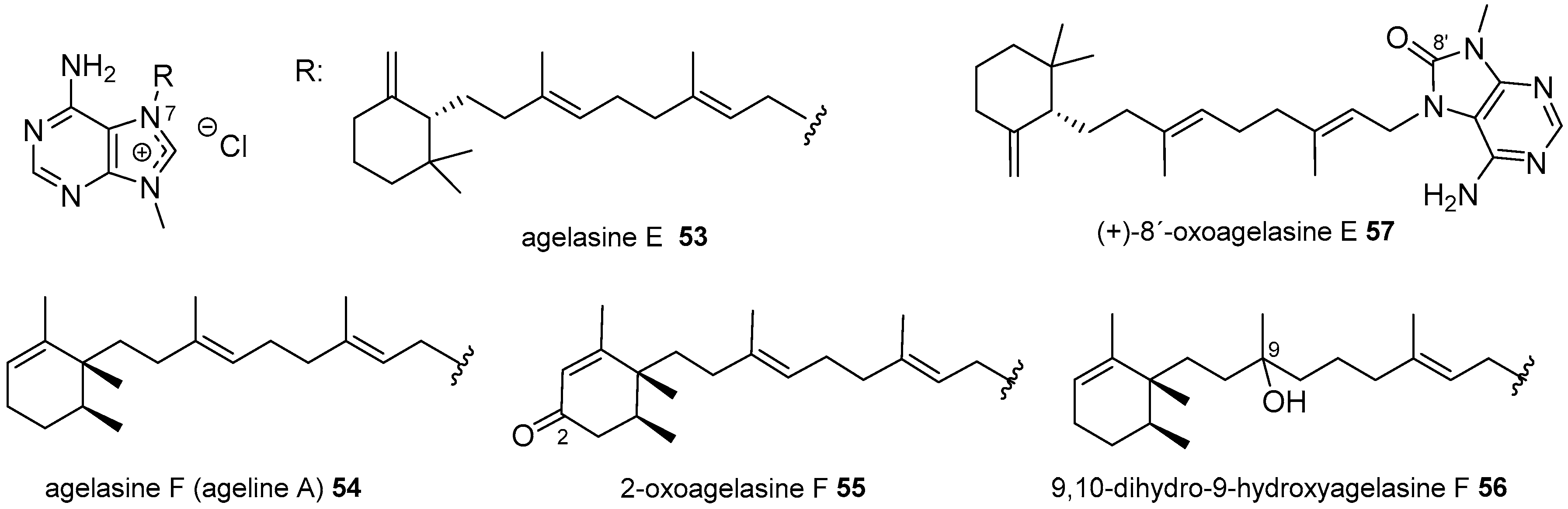 Marinedrugs 16 00006 g013