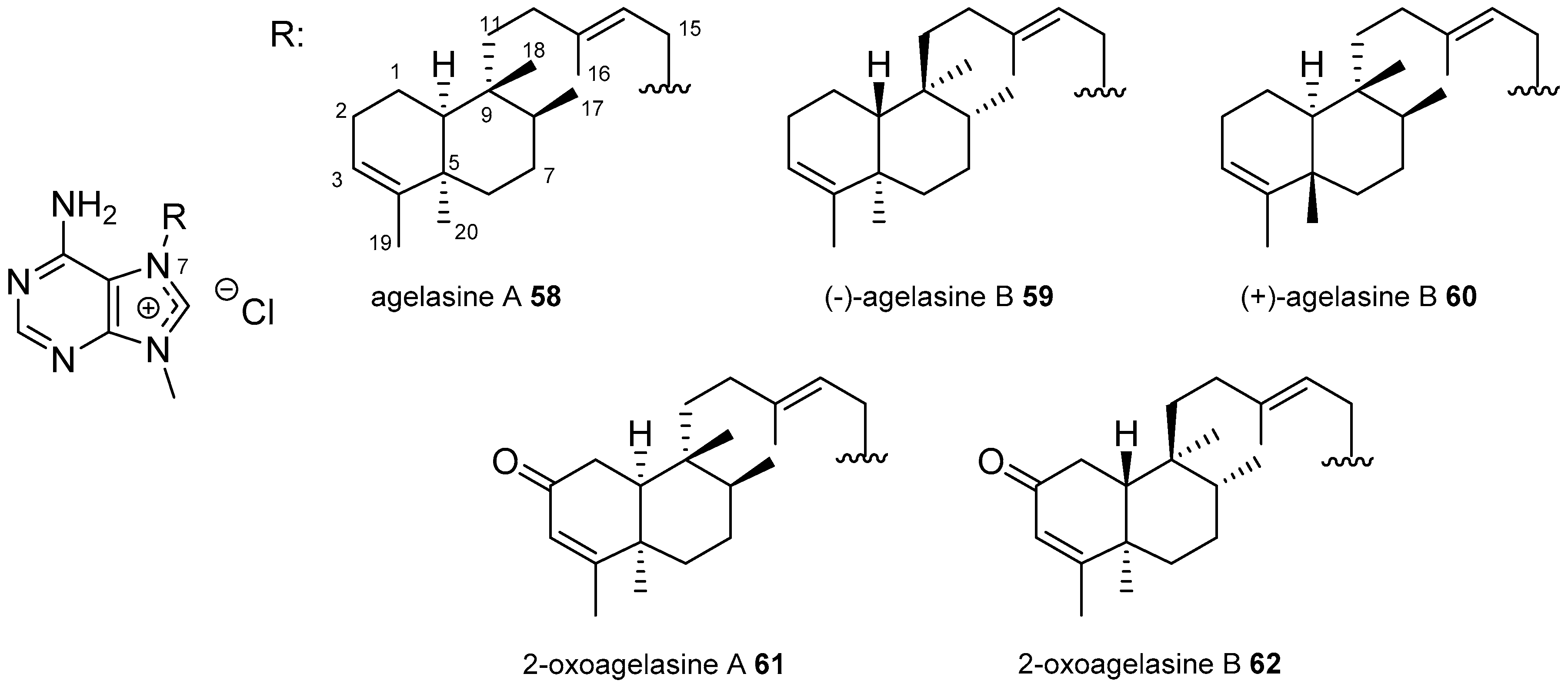 Marinedrugs 16 00006 g014