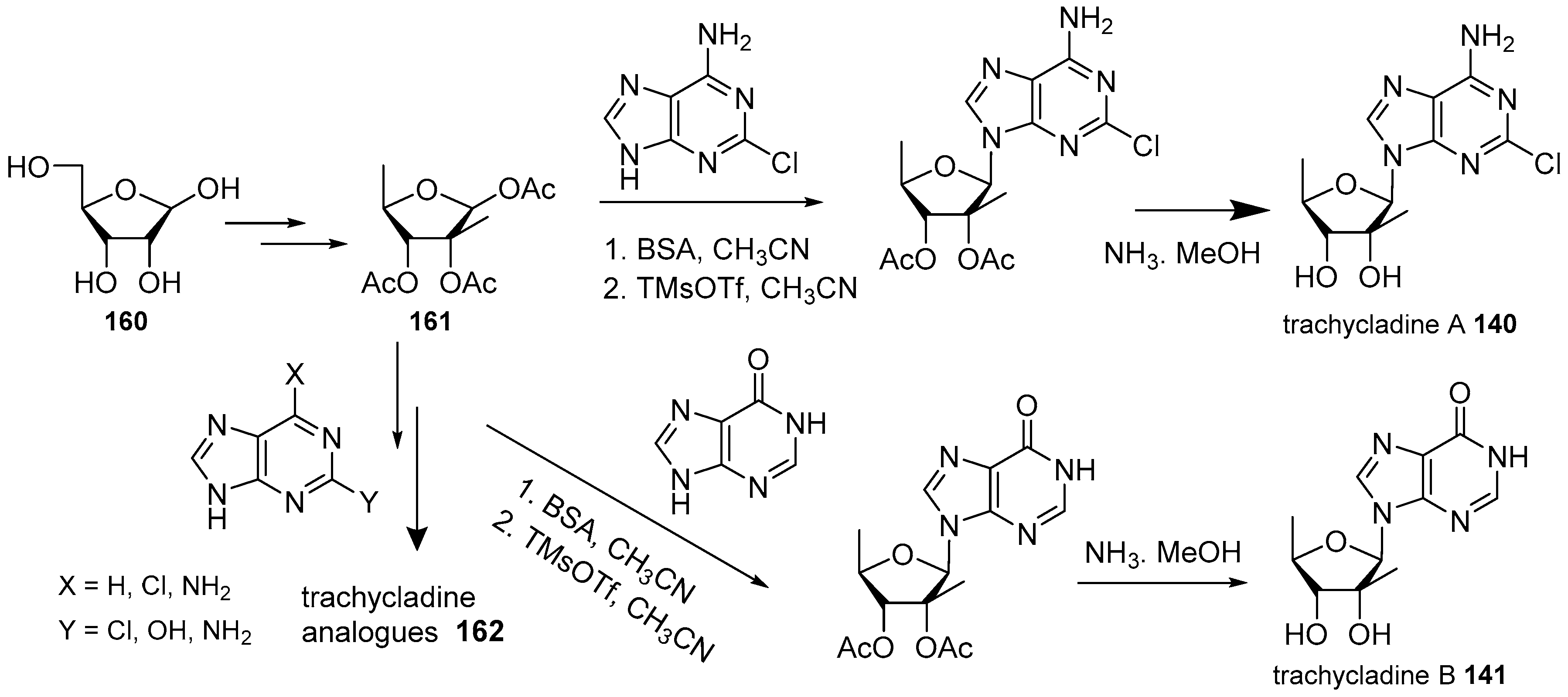 Marinedrugs 16 00006 sch012