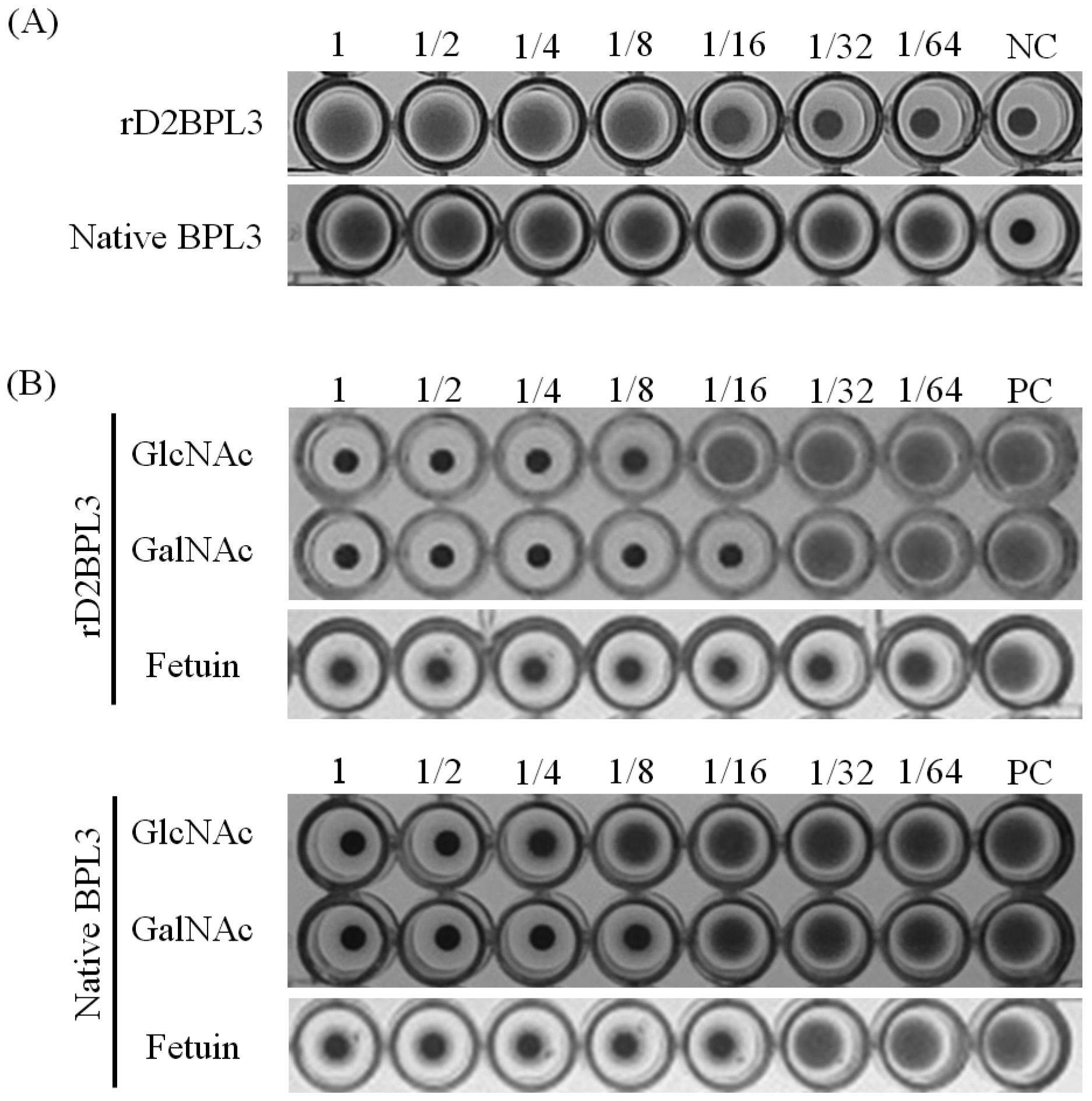 Marinedrugs 16 00013 g006 Marinedrugs 16 00013 g006