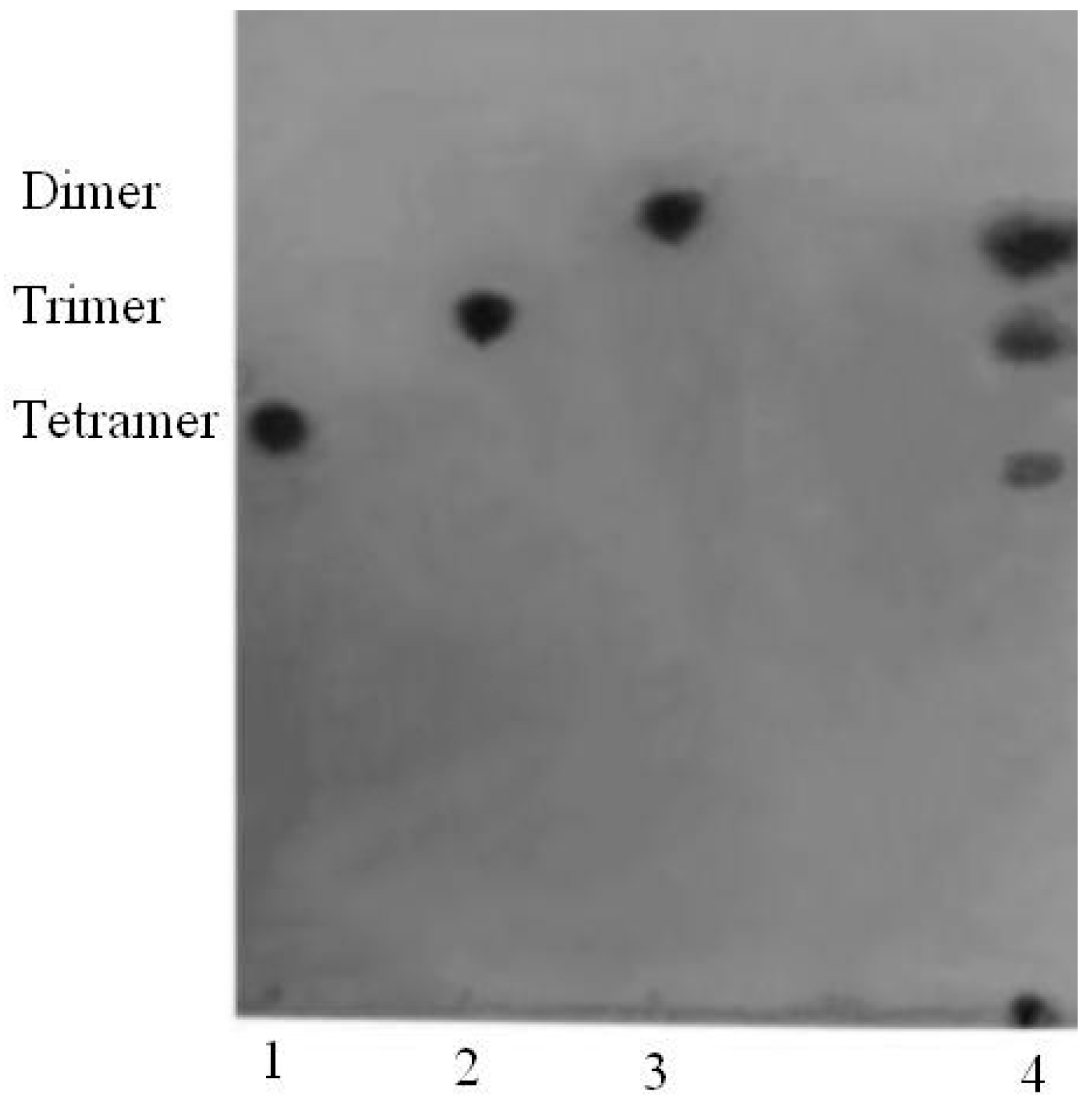 Marinedrugs 16 00030 g003