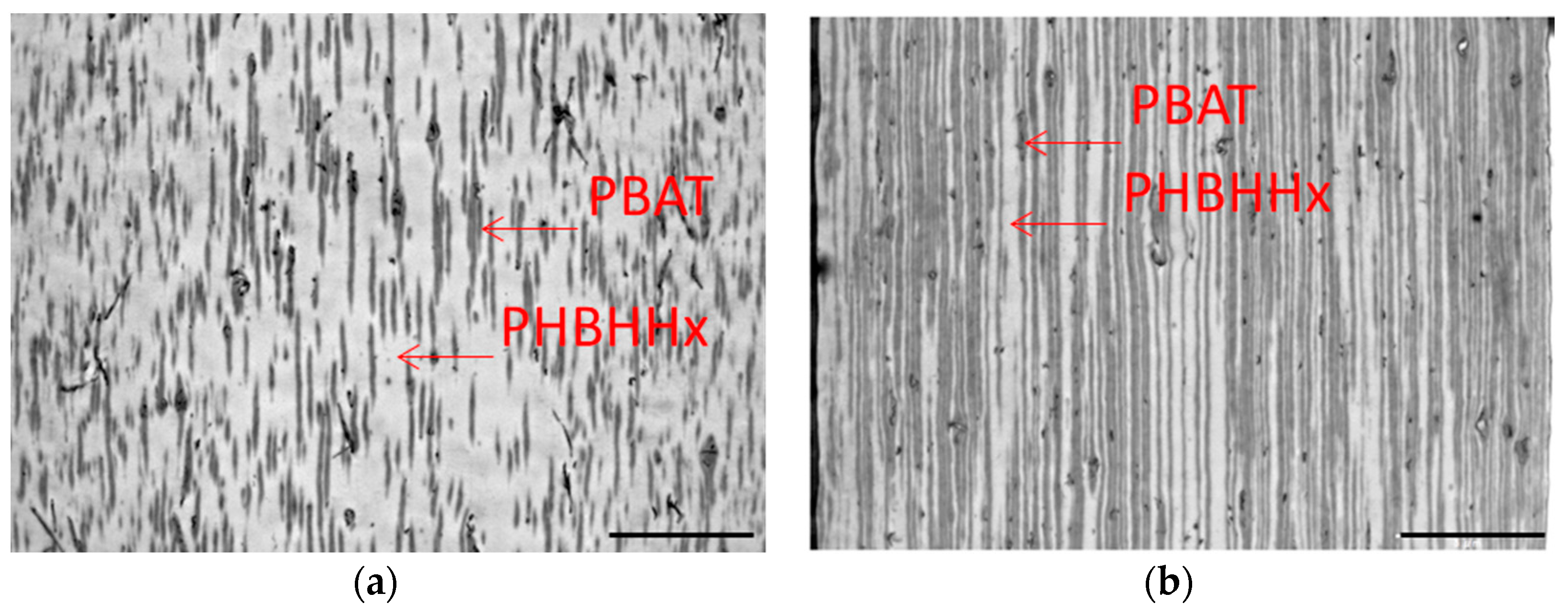 Marinedrugs 16 00034 g005