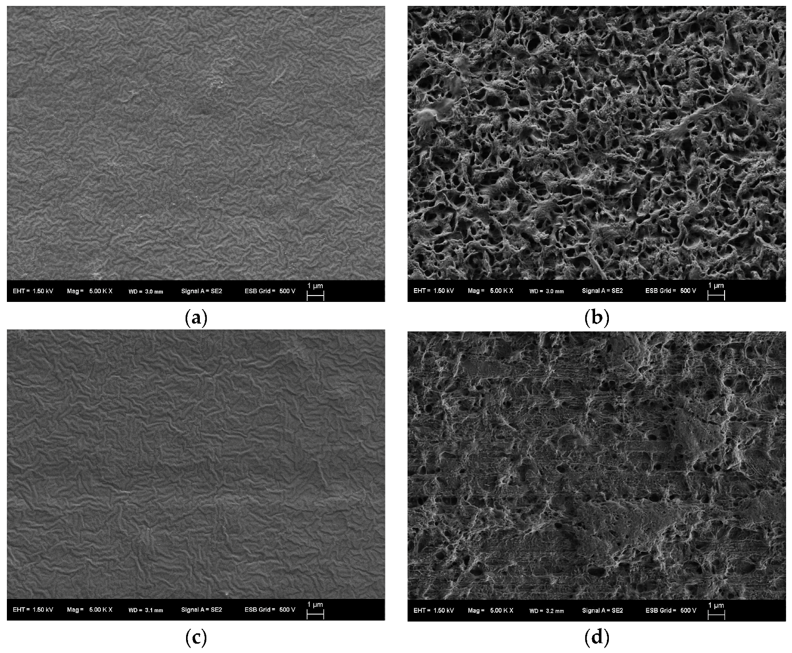 Marinedrugs 16 00034 g006