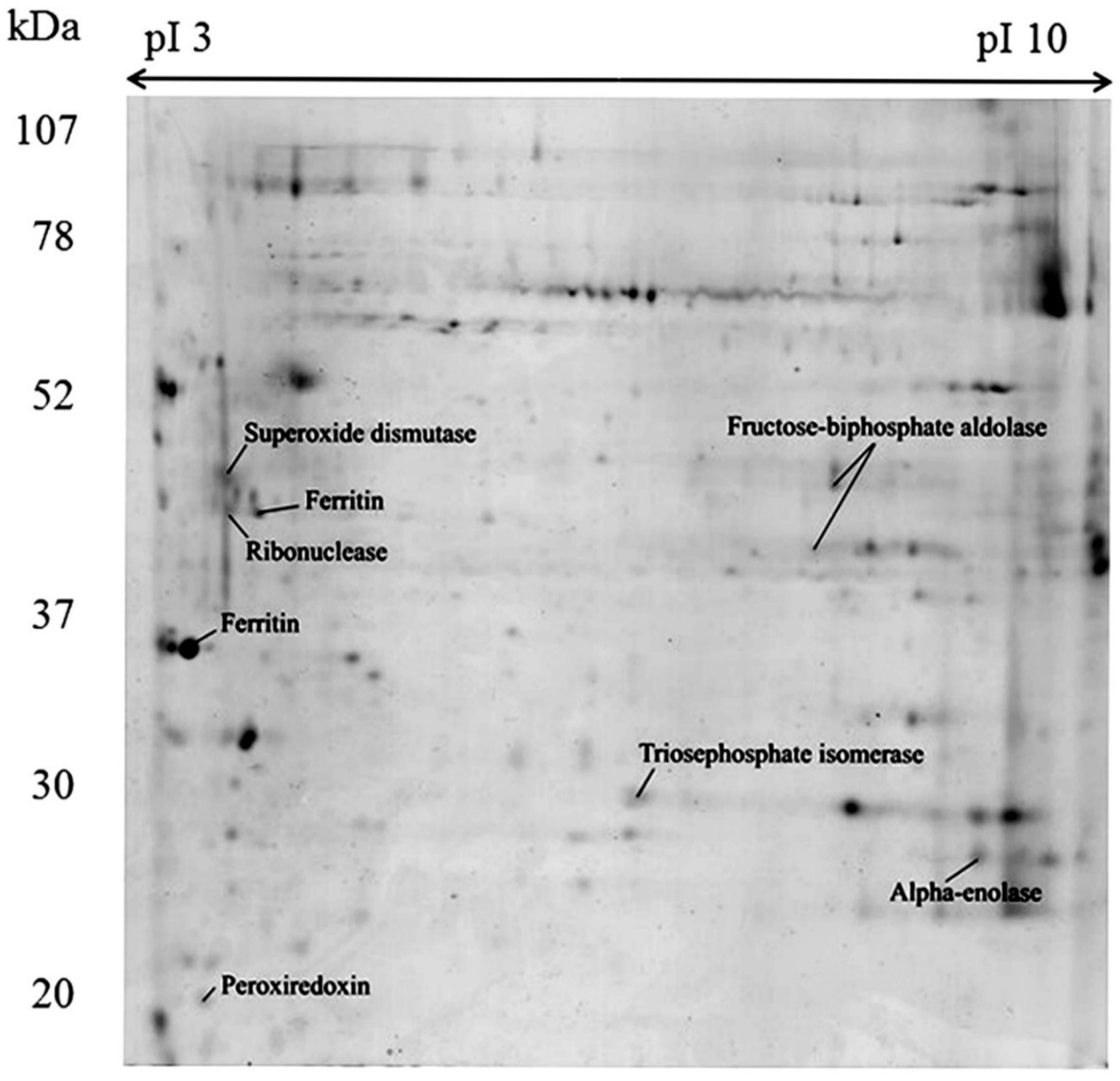 Marinedrugs 16 00042 g002 Marinedrugs 16 00042 g002