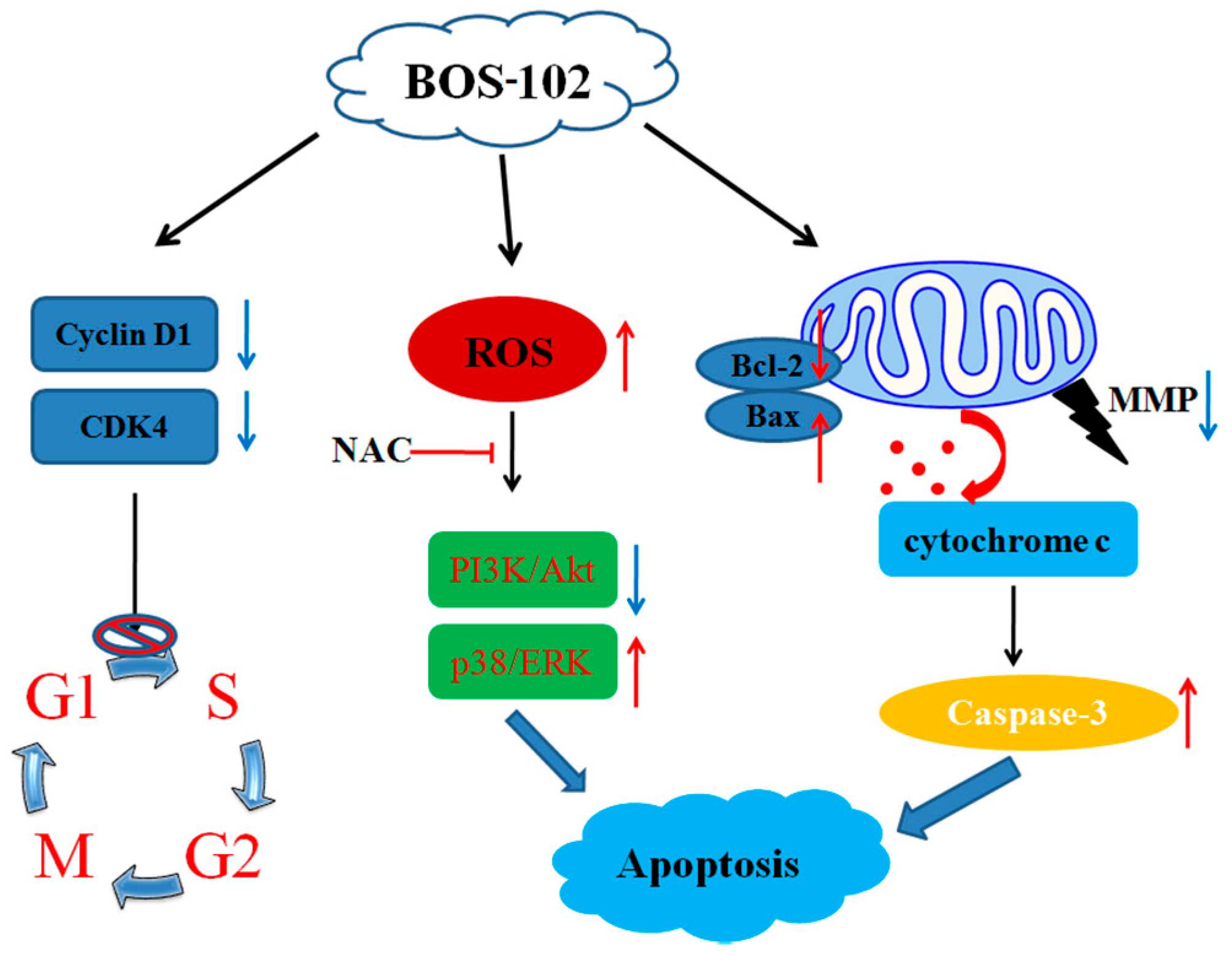 Marinedrugs 16 00043 g008