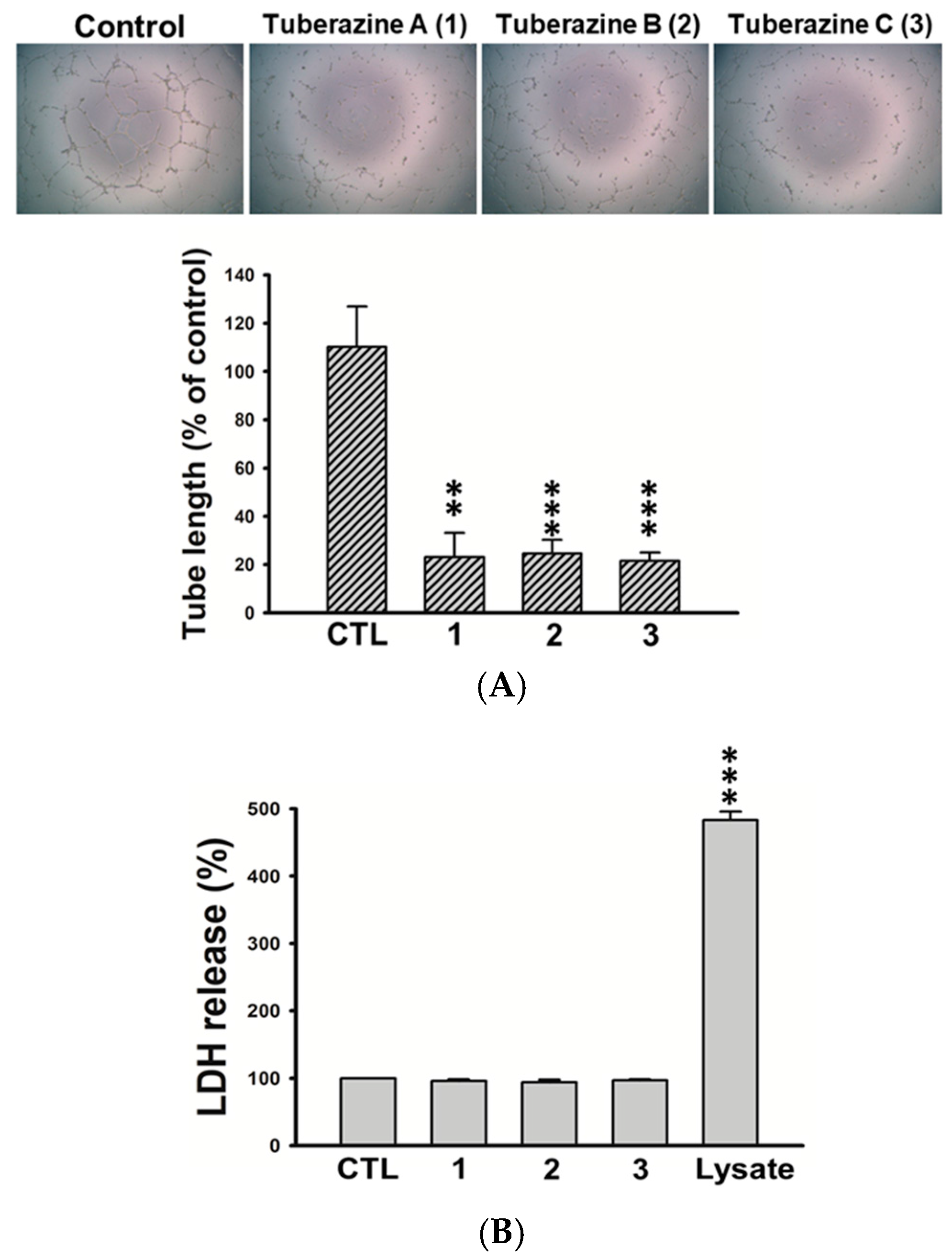 Marinedrugs 16 00047 g005
