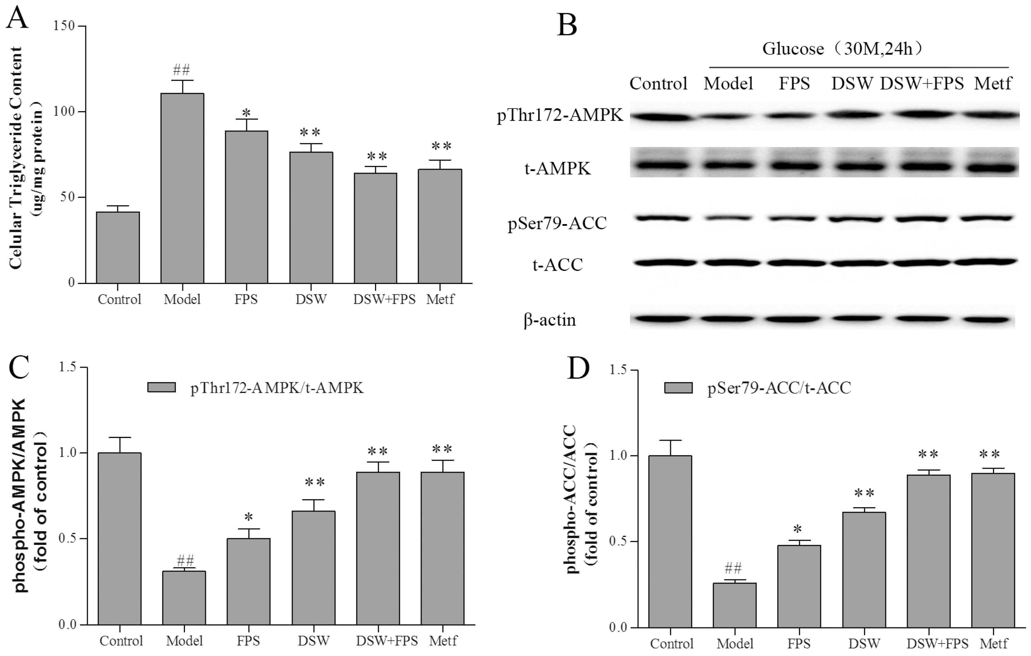 Marinedrugs 16 00048 g006