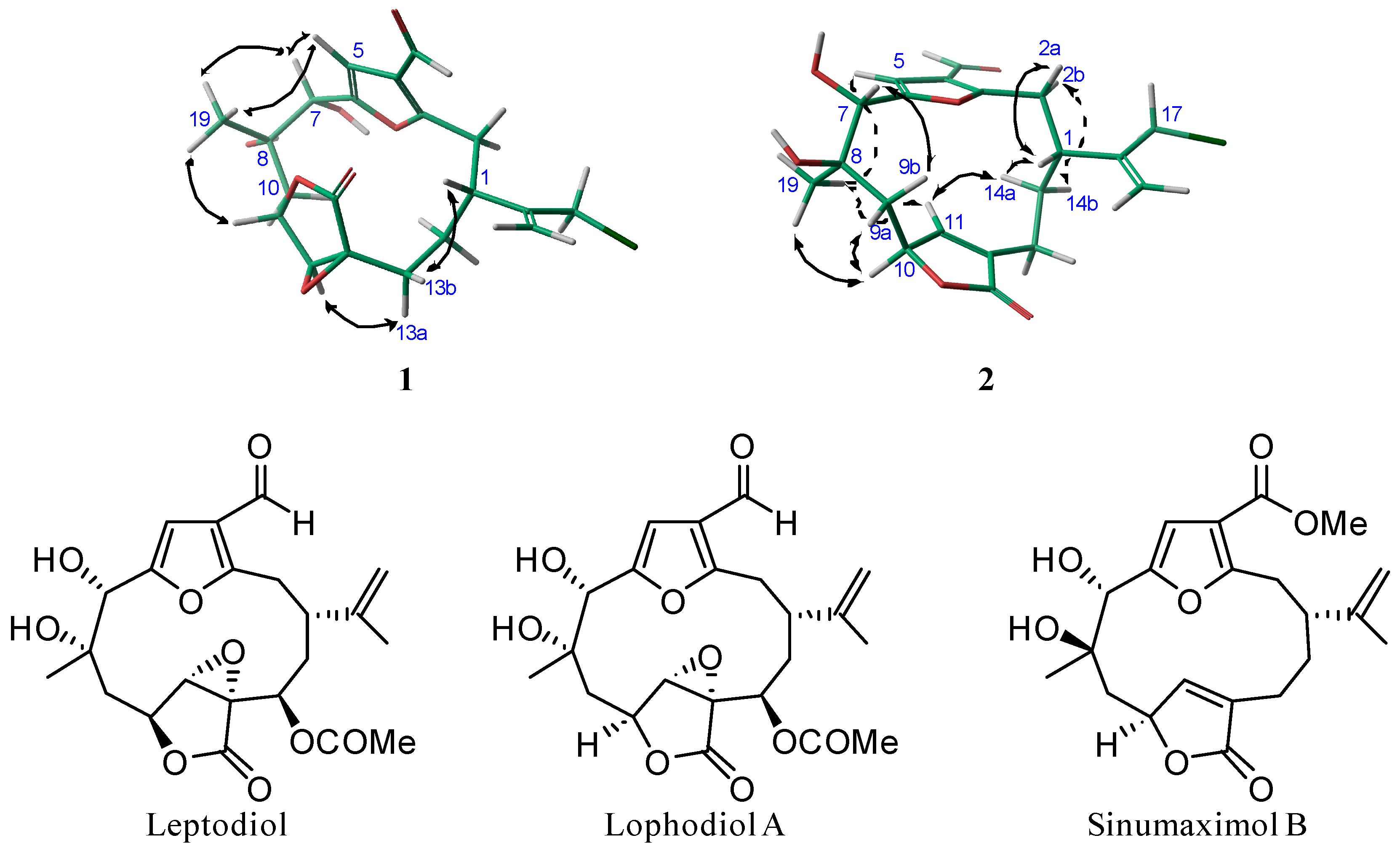 Marinedrugs 16 00049 g003