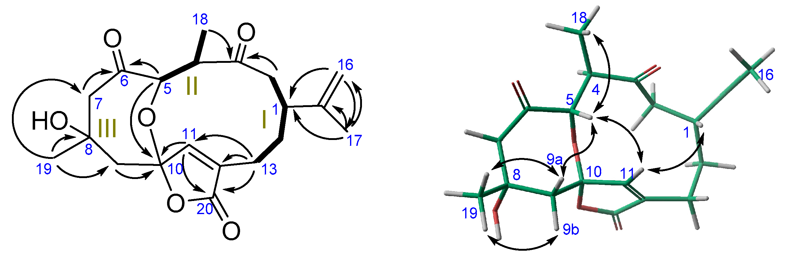 Marinedrugs 16 00049 g004