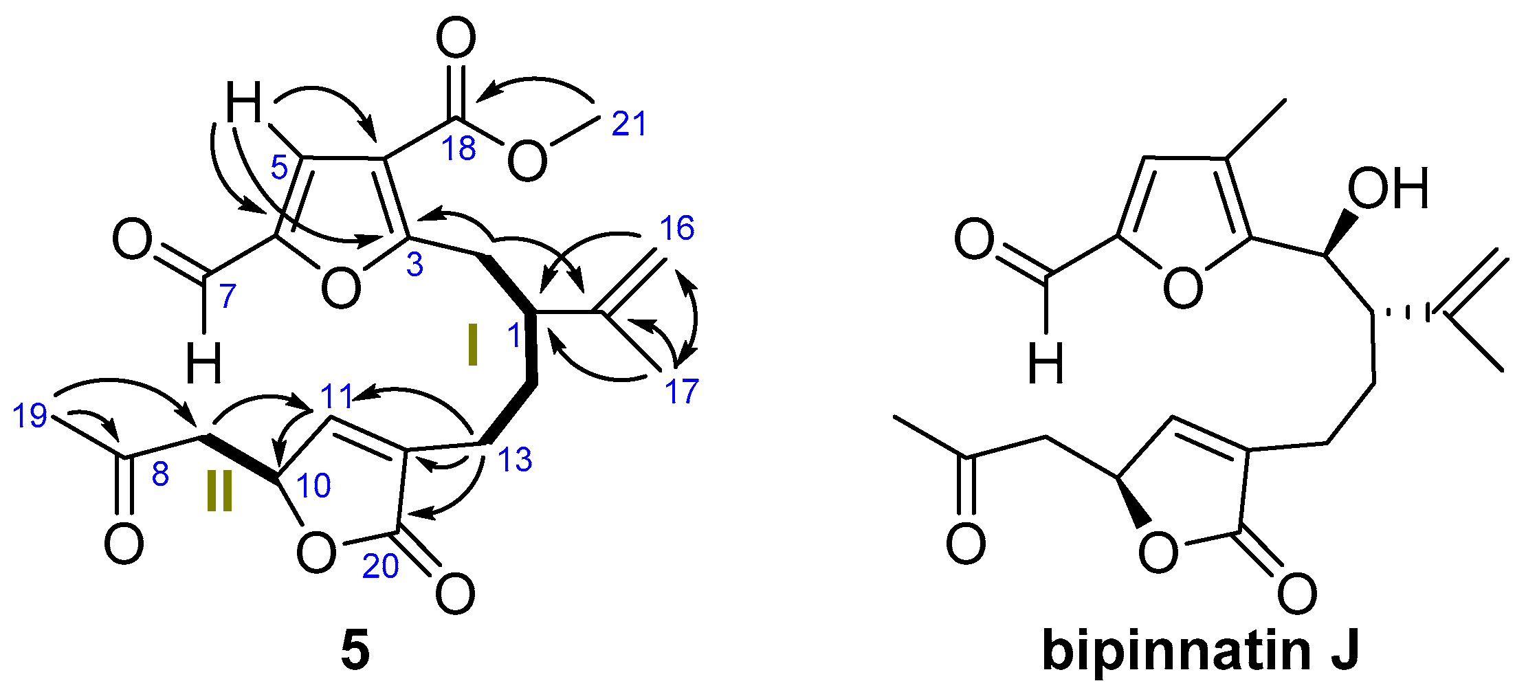 Marinedrugs 16 00049 g005