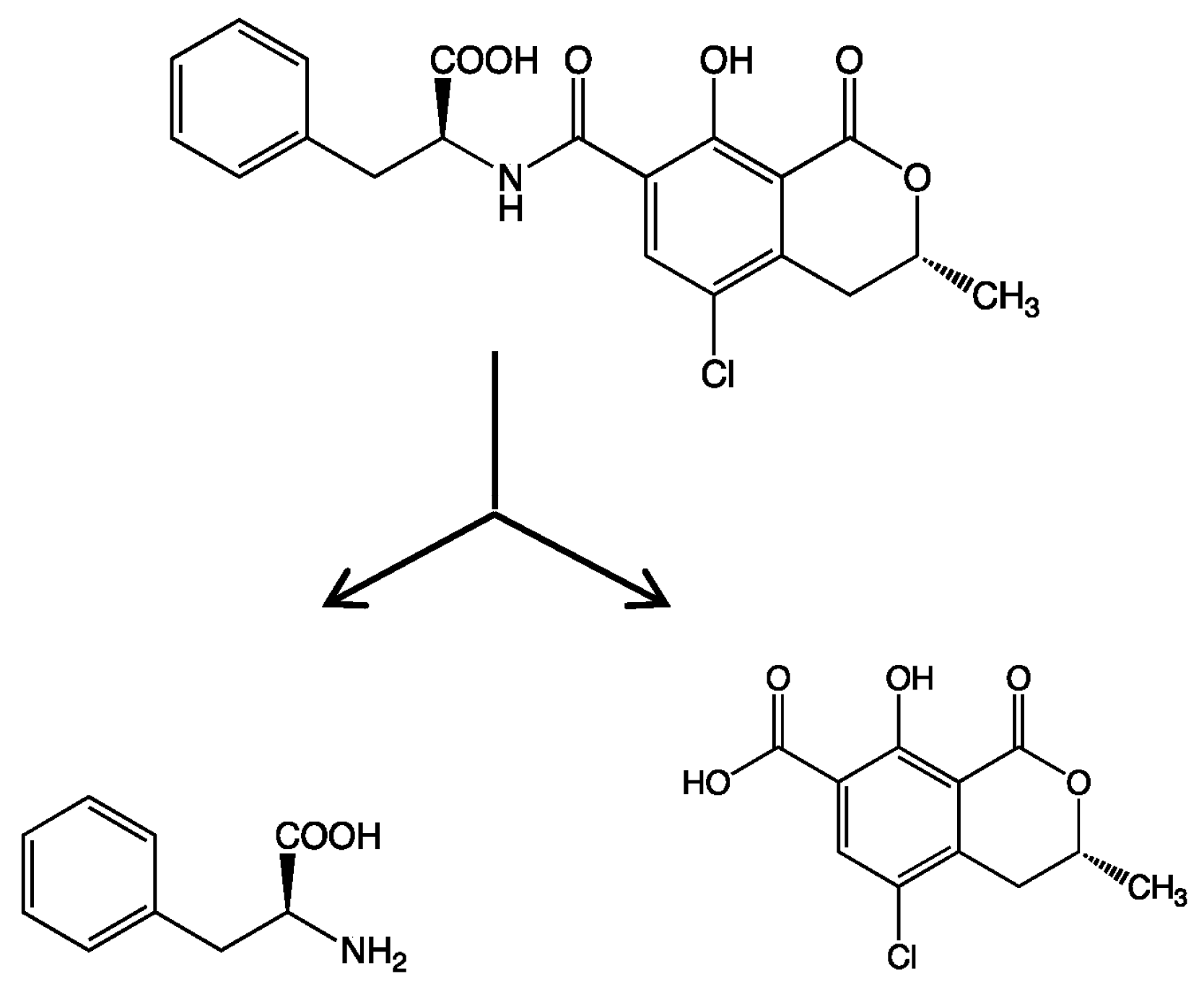 Marinedrugs 16 00050 g002