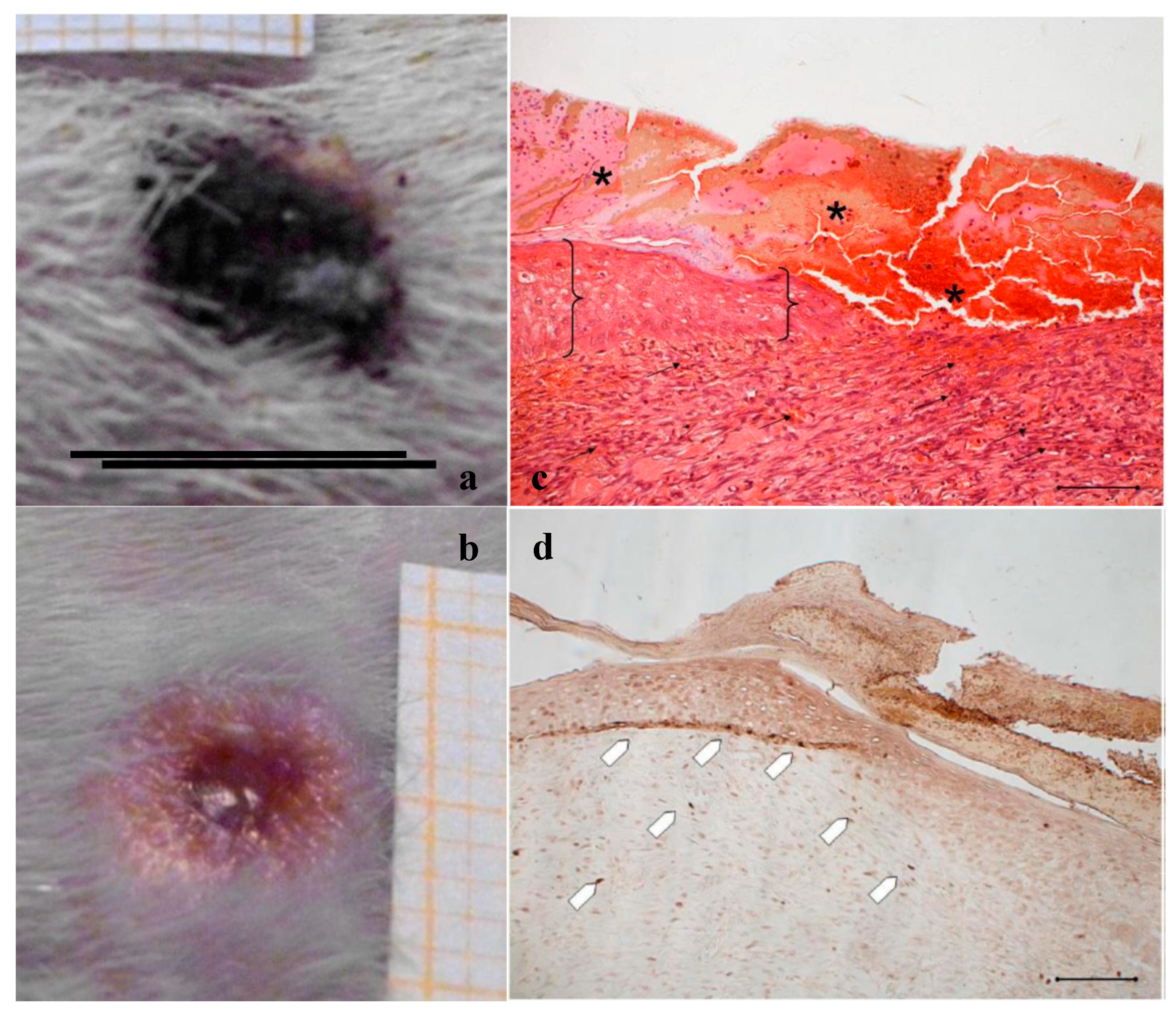 Marinedrugs 16 00056 g002