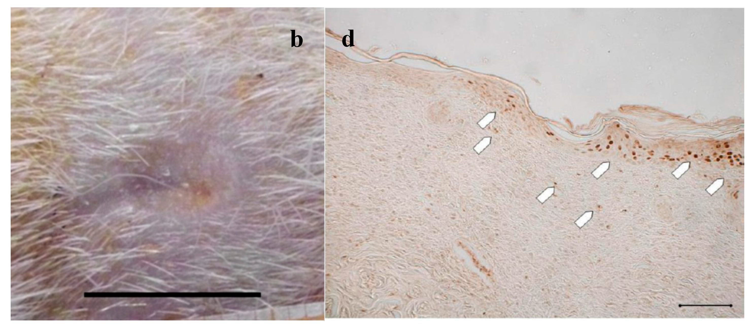 Marinedrugs 16 00056 g003b