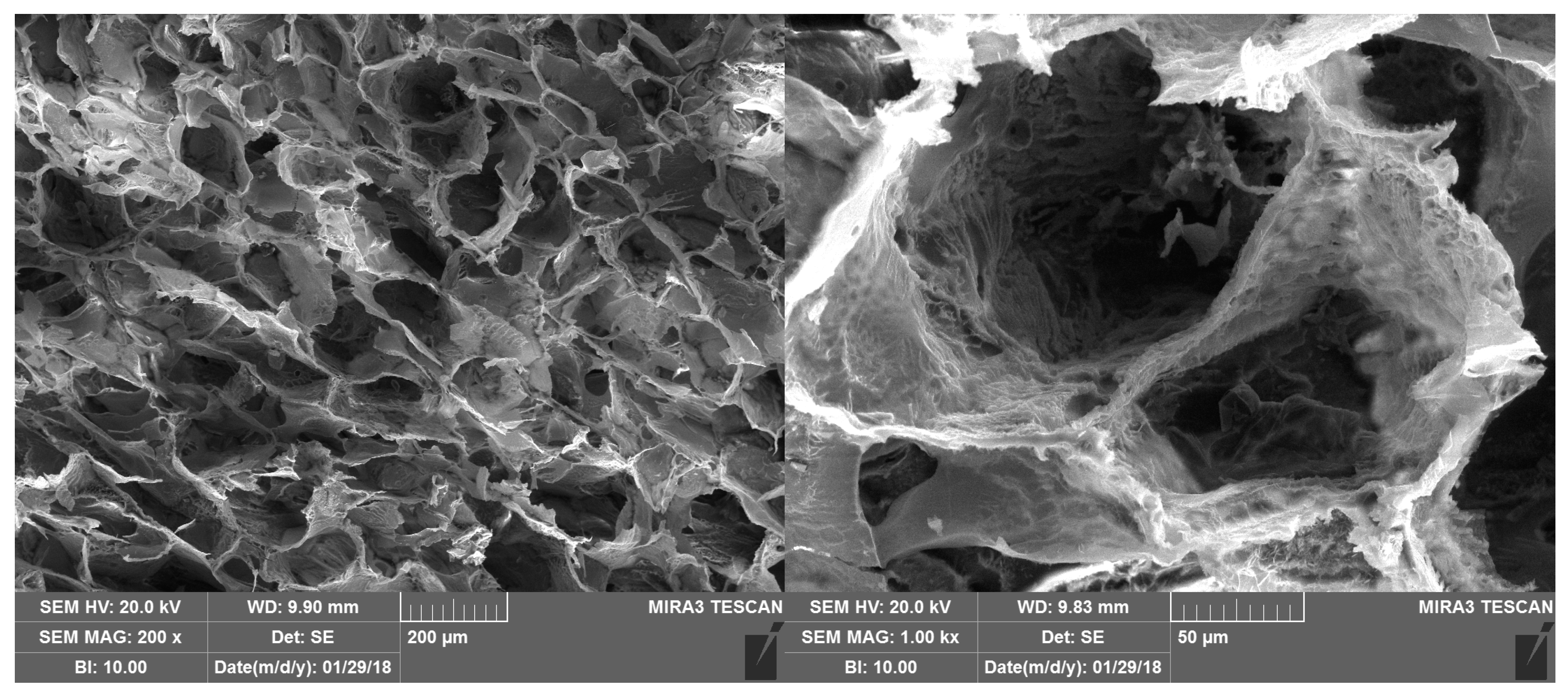 Marinedrugs 16 00056 g010