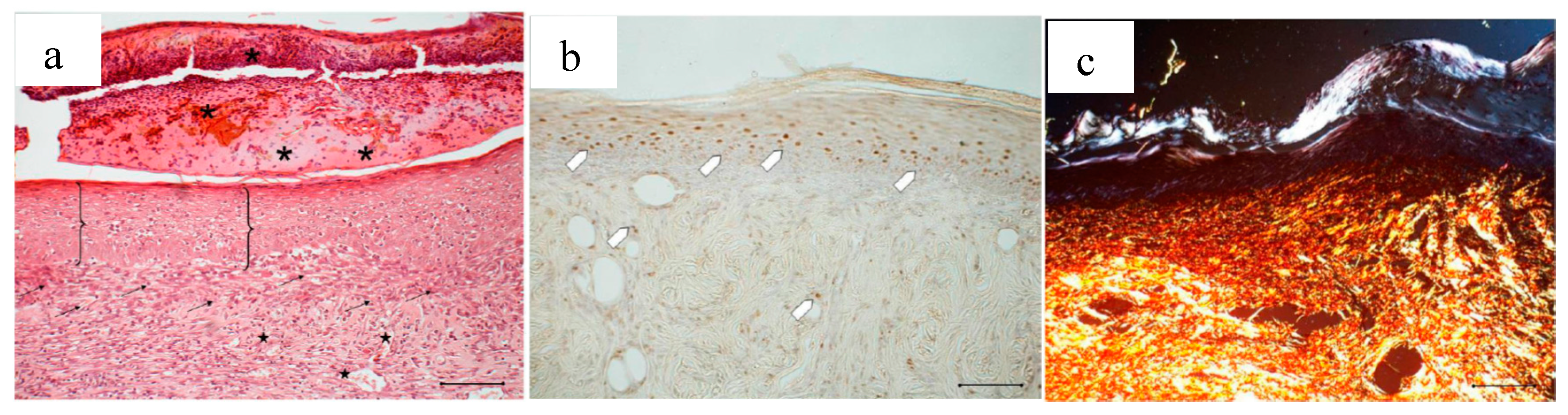 Marinedrugs 16 00056 g014